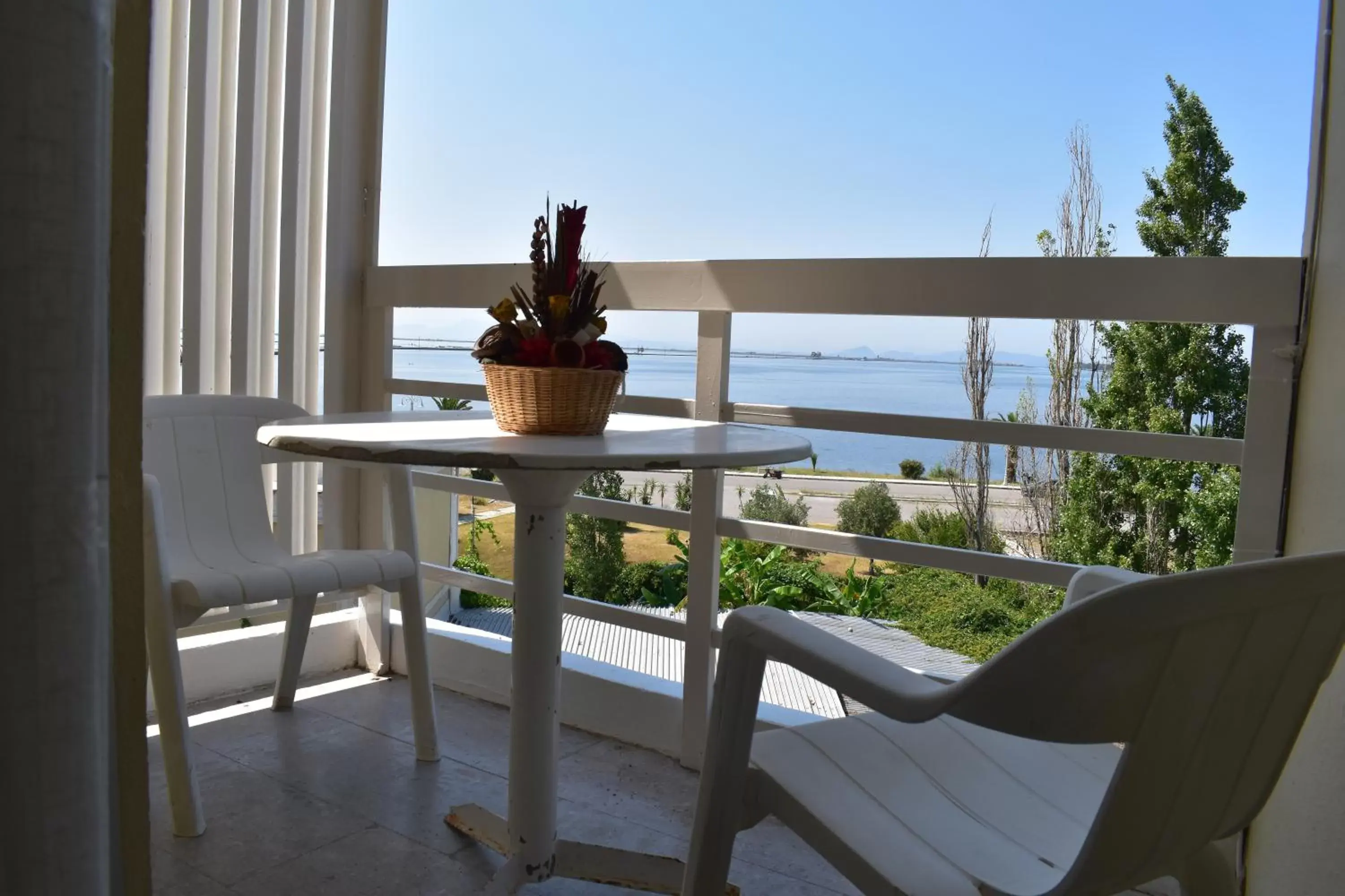 Balcony/Terrace in Hotel Theoxenia