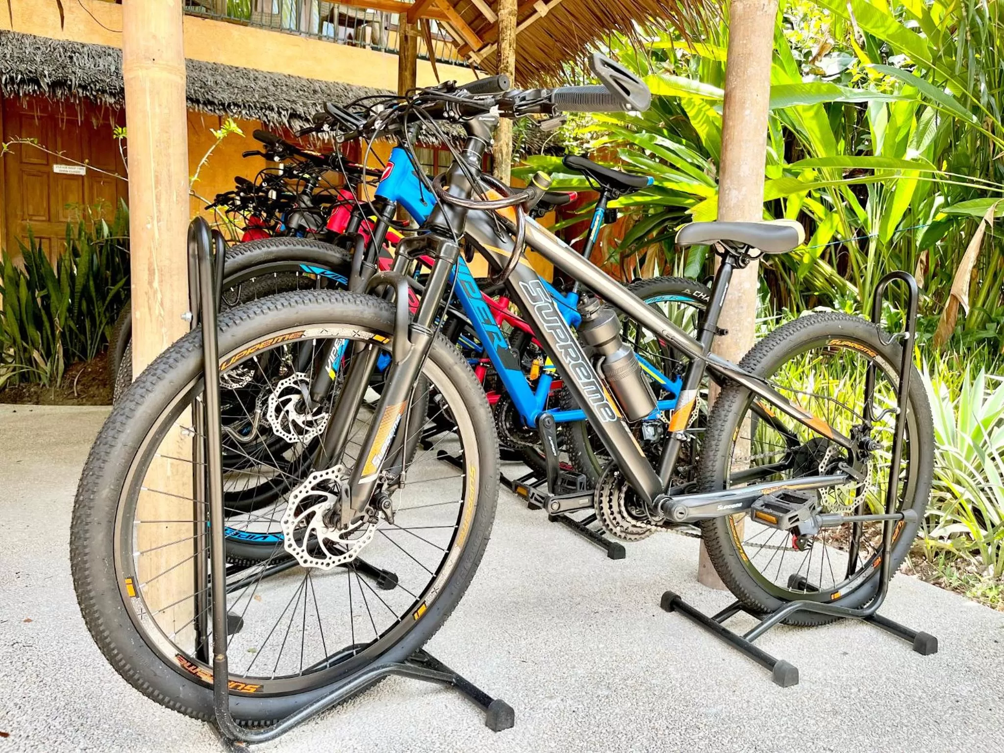 shuttle in Coco Grove Beach Resort, Siquijor Island