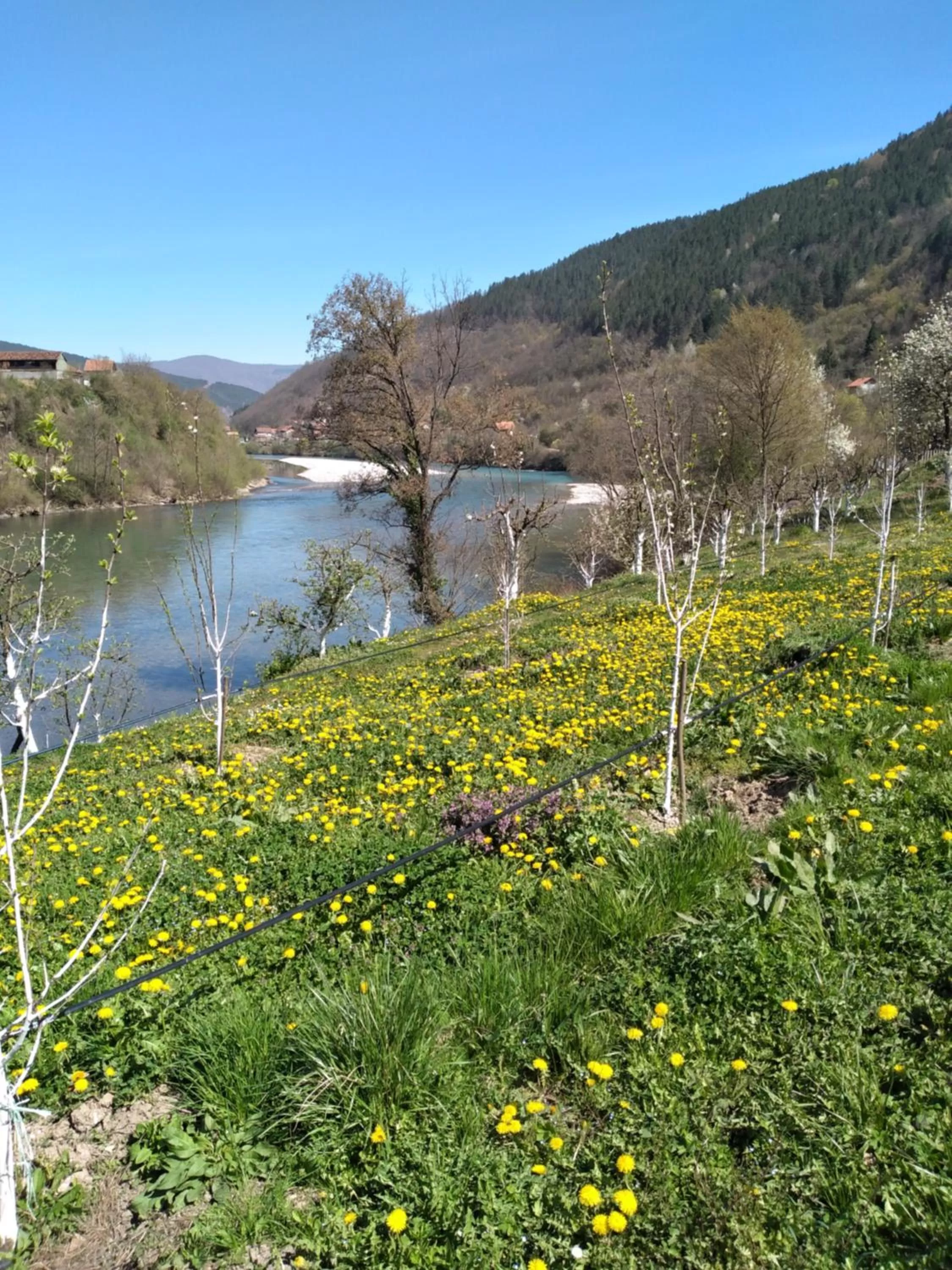 Prenoćište na Drini Foča