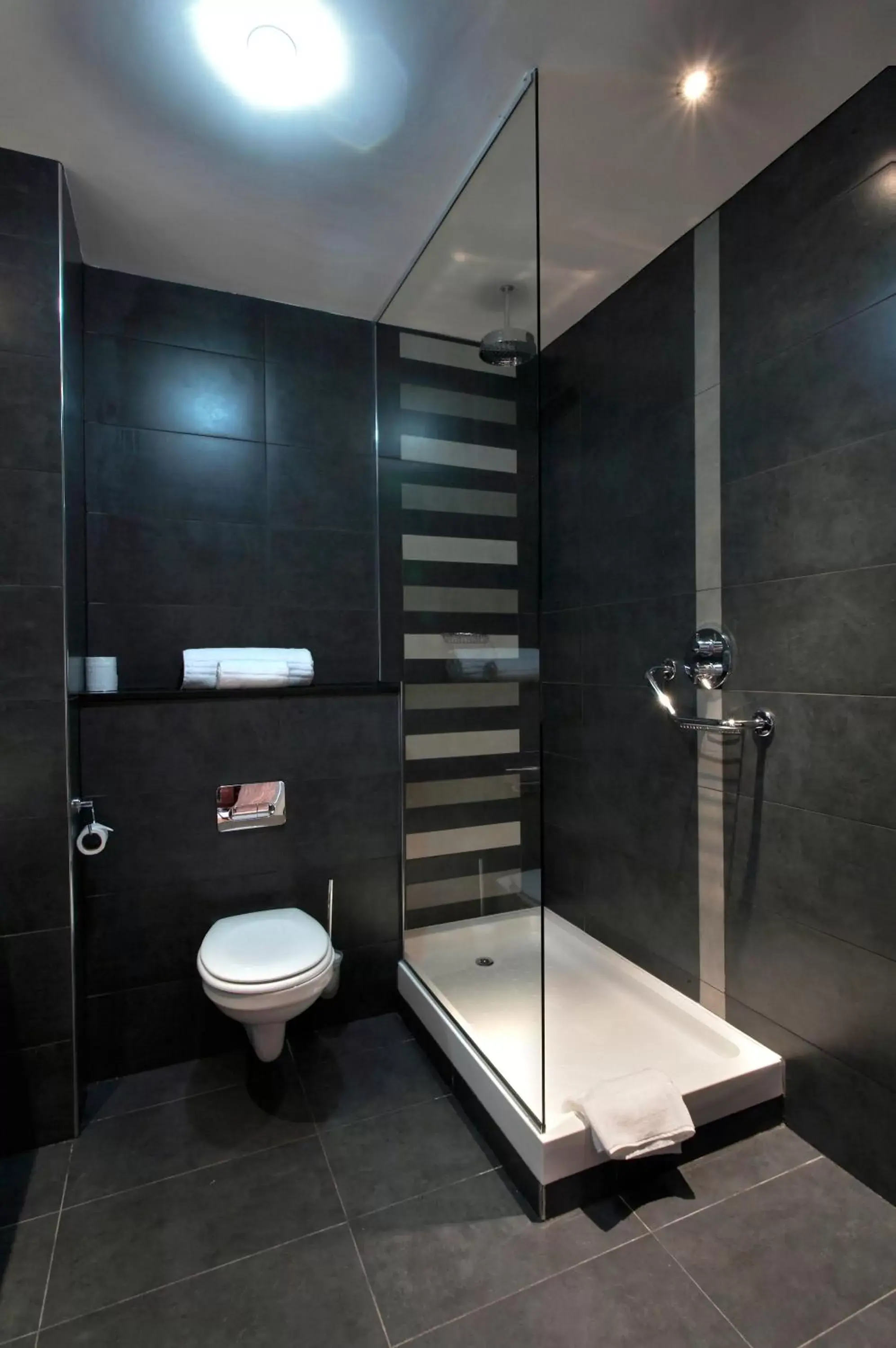Shower, Bathroom in Athlone Springs Hotel
