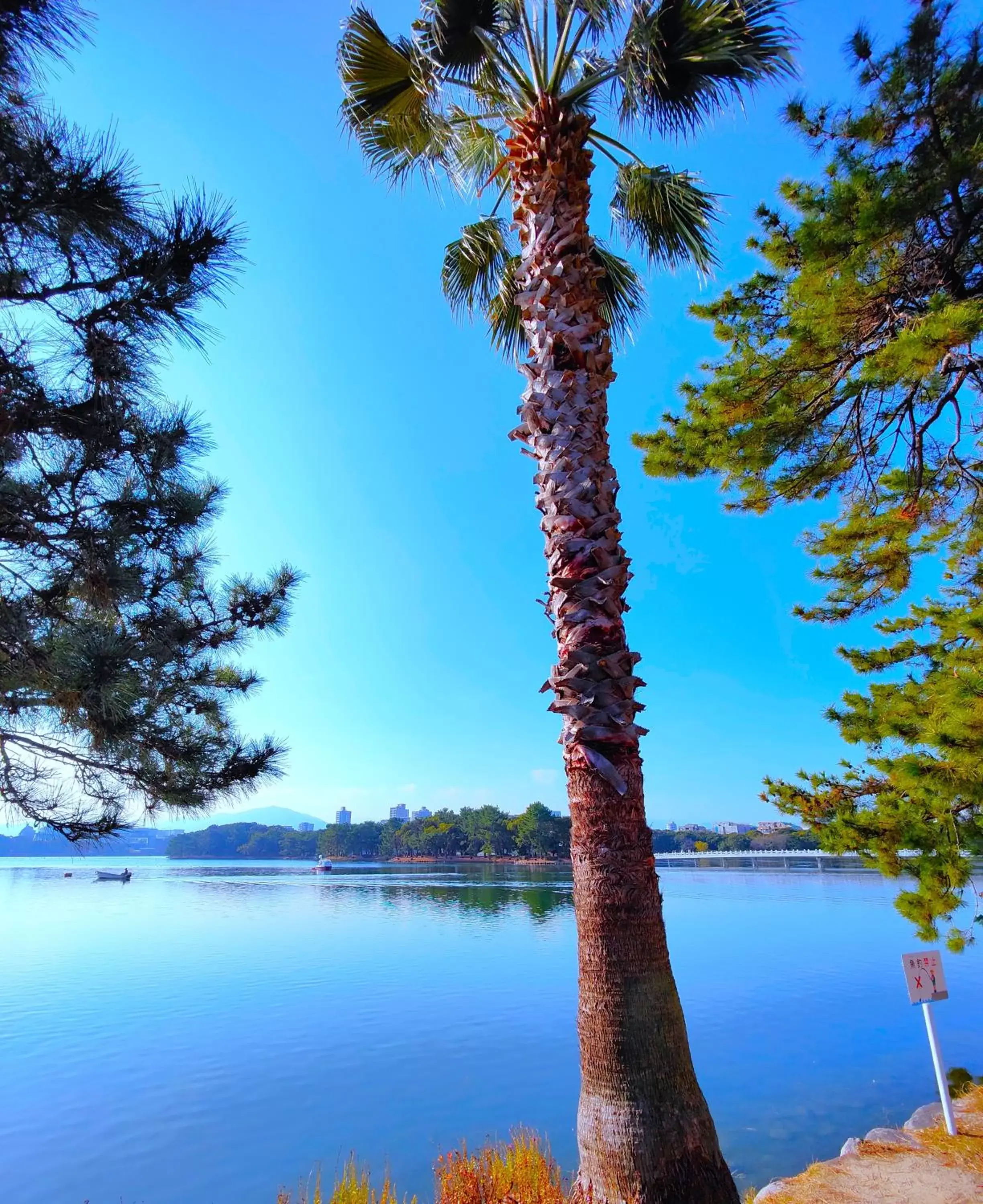 Natural landscape in Heiwadai Hotel Otemon