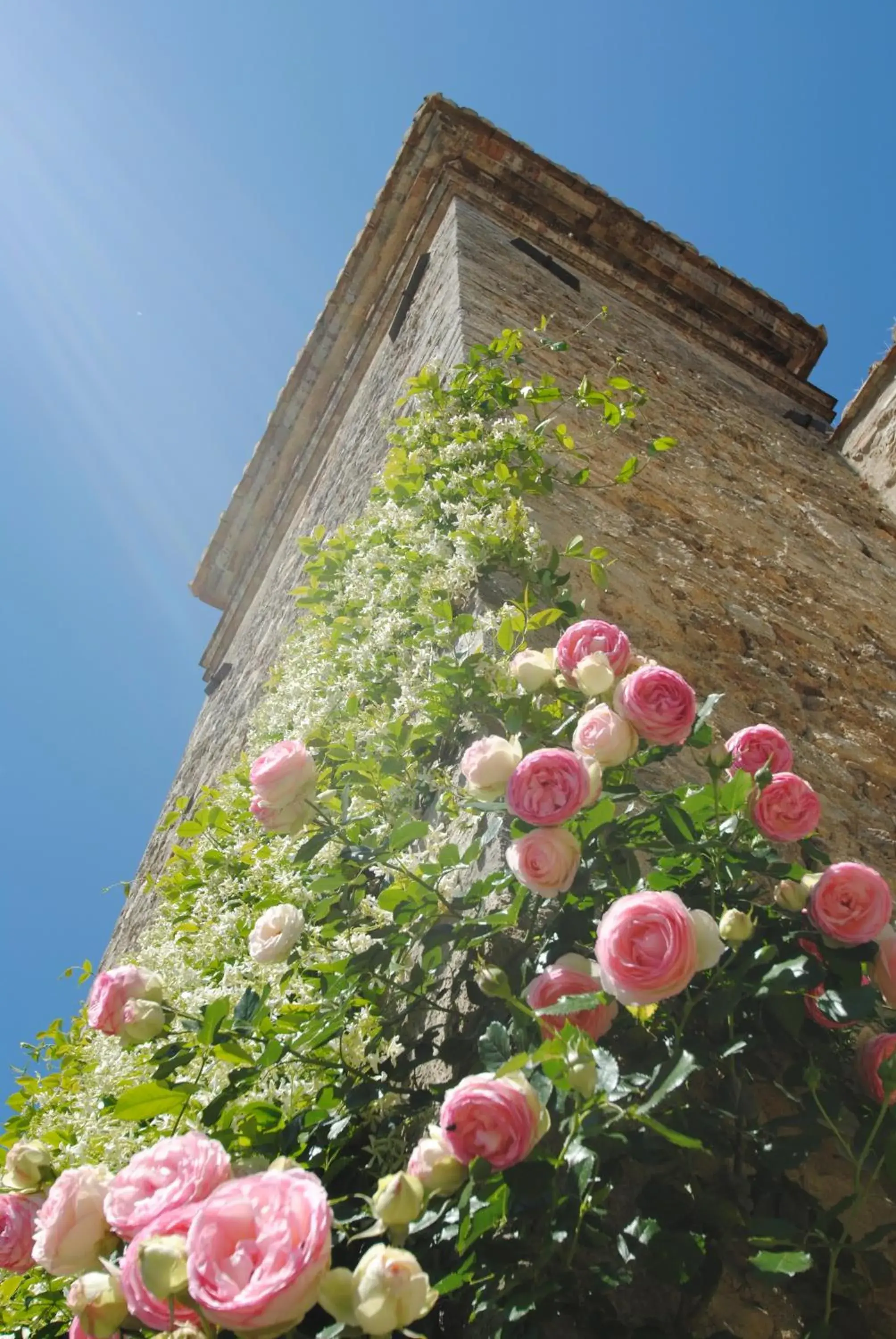 Property building in Torre Sangiovanni Albergo e Ristorante