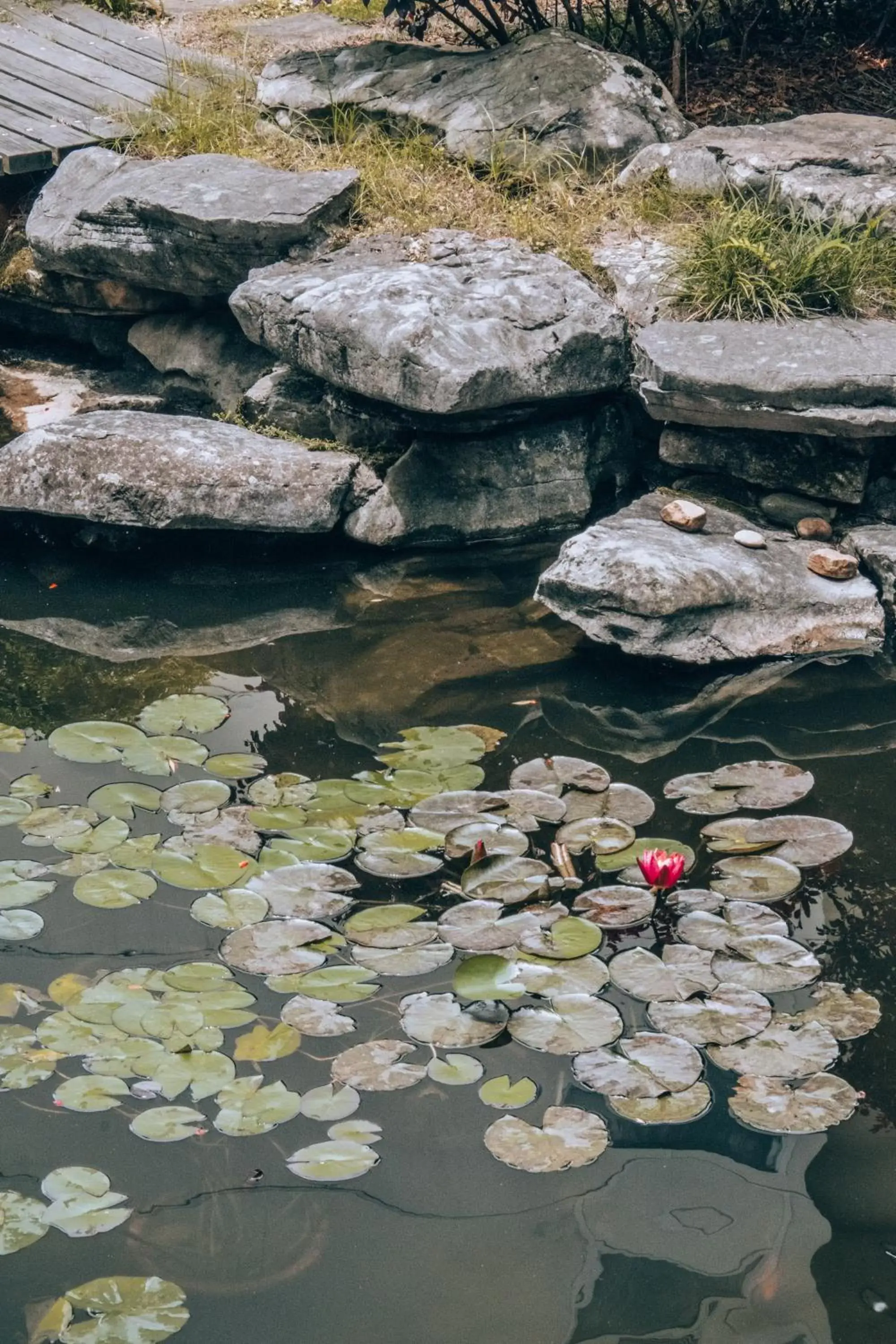 Pullman Zhangjiajie Hotel - Instagrammable