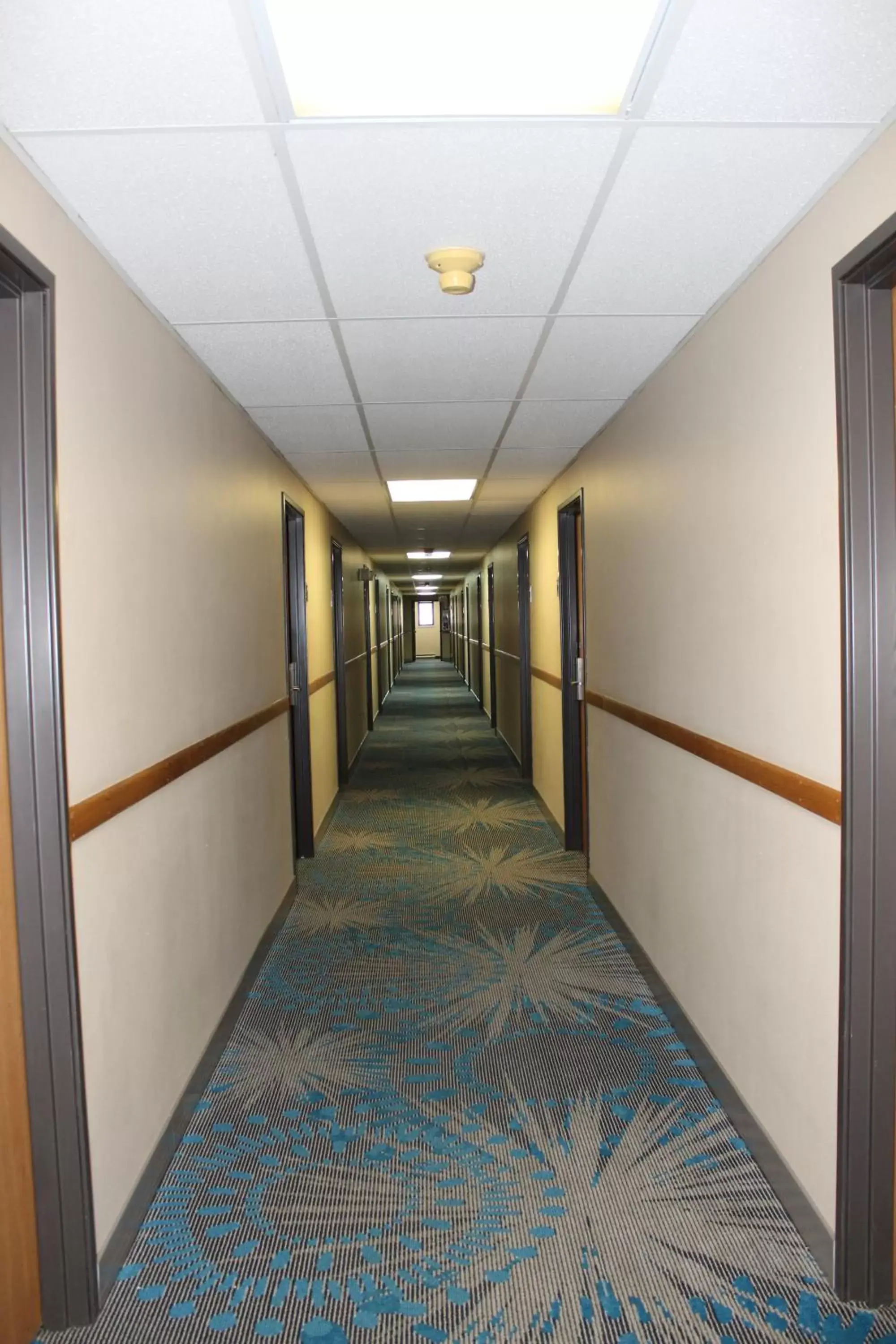 Reston Inn & Suites