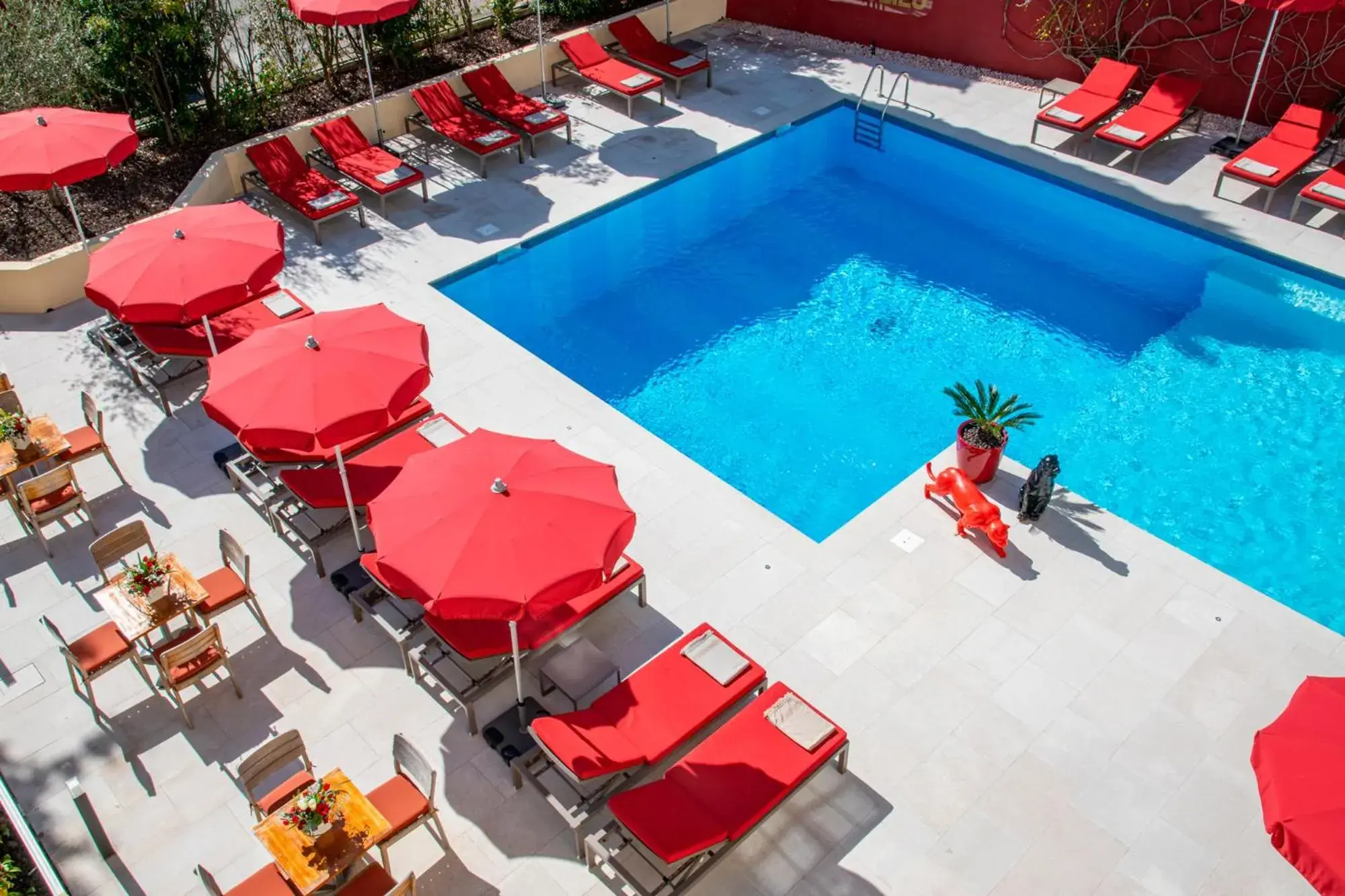 Swimming pool, Pool View in Hotel Carlton