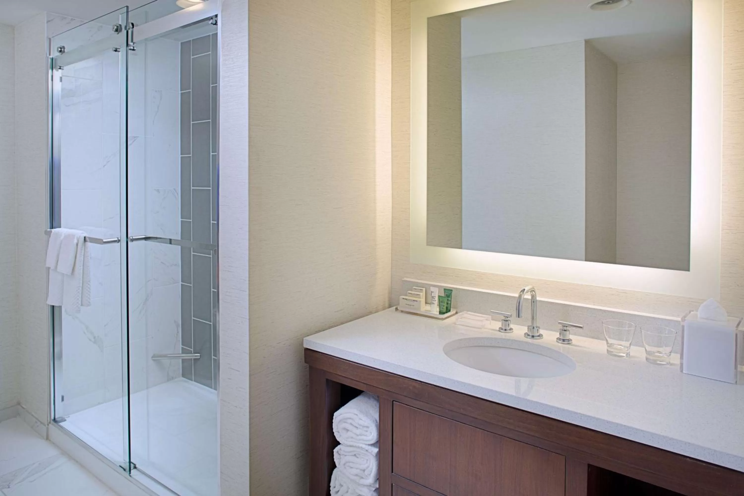 Bathroom in Hilton Boston Dedham