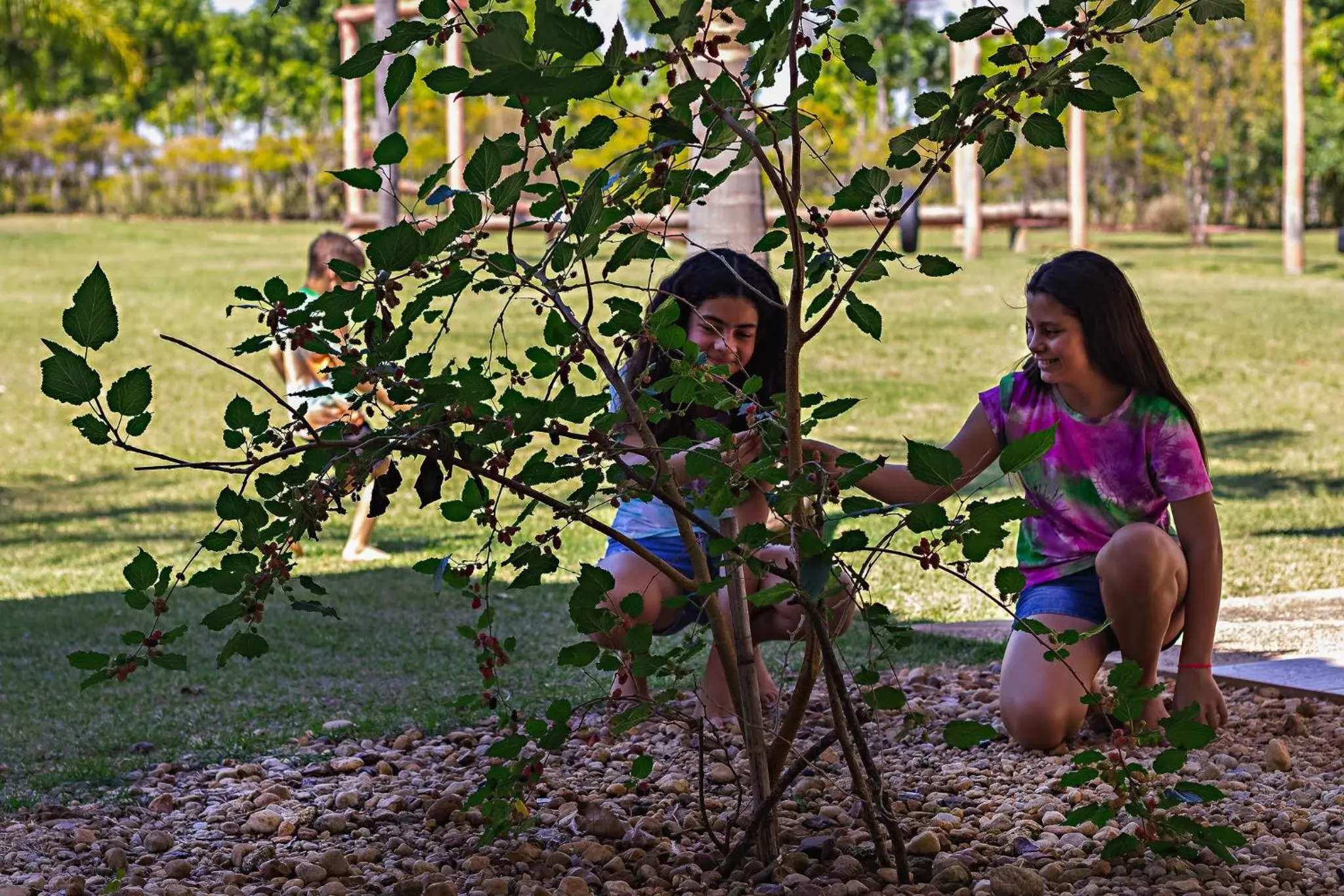 Garden in Pousada Pé na Terra