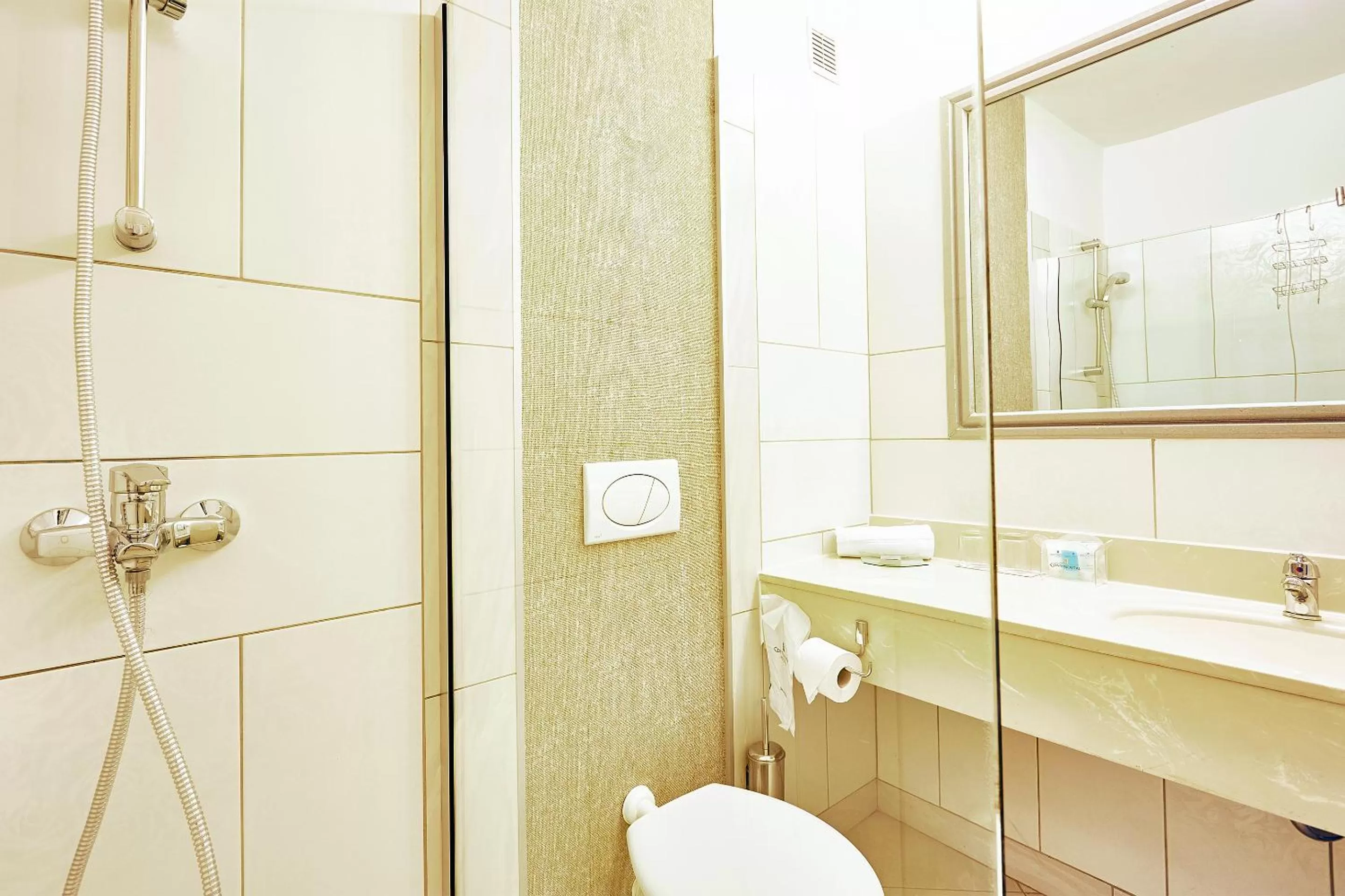 Bathroom in Continental Drobeta Turnu Severin