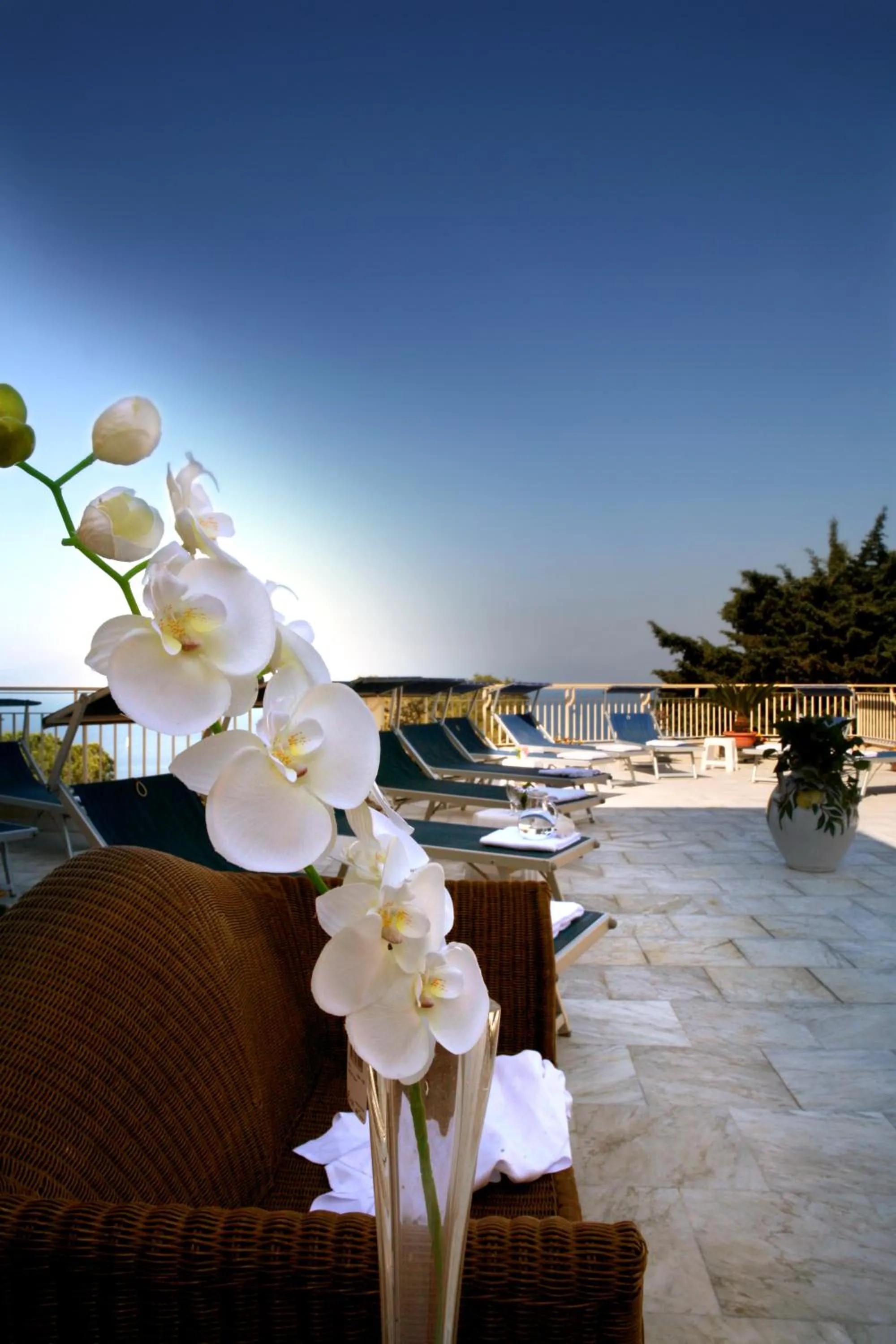 View (from property/room) in Hotel Miramare