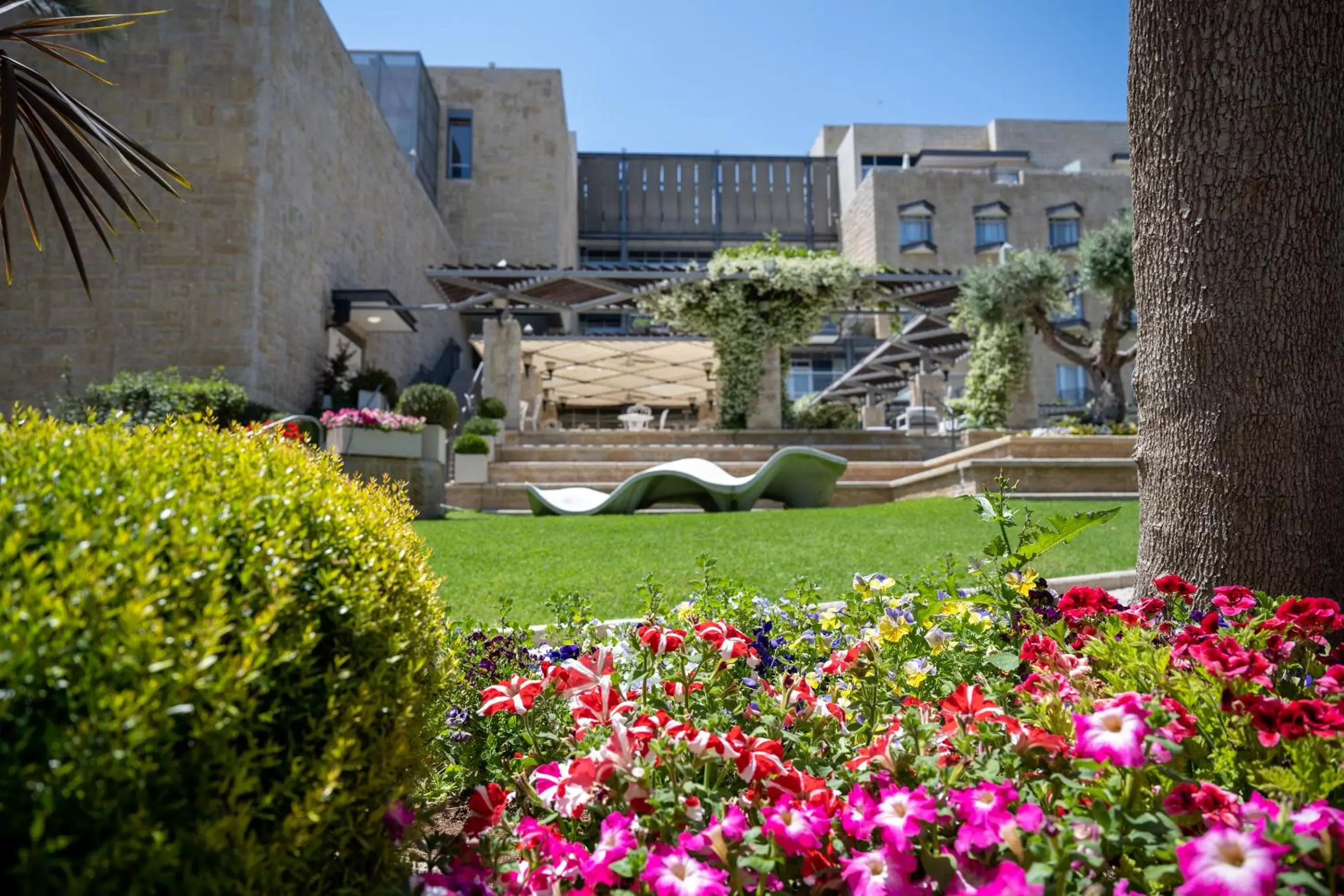 Garden, Property Building in Hotel Yehuda