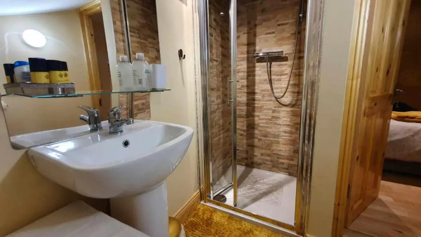 Shower, Bathroom in Forest Hills Lodge