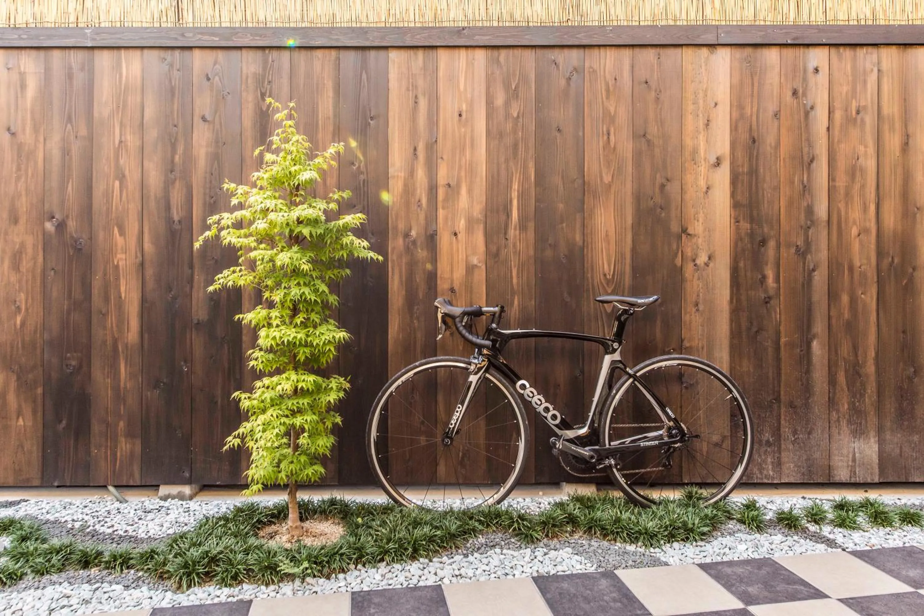 Activities in Fujitaya BnB