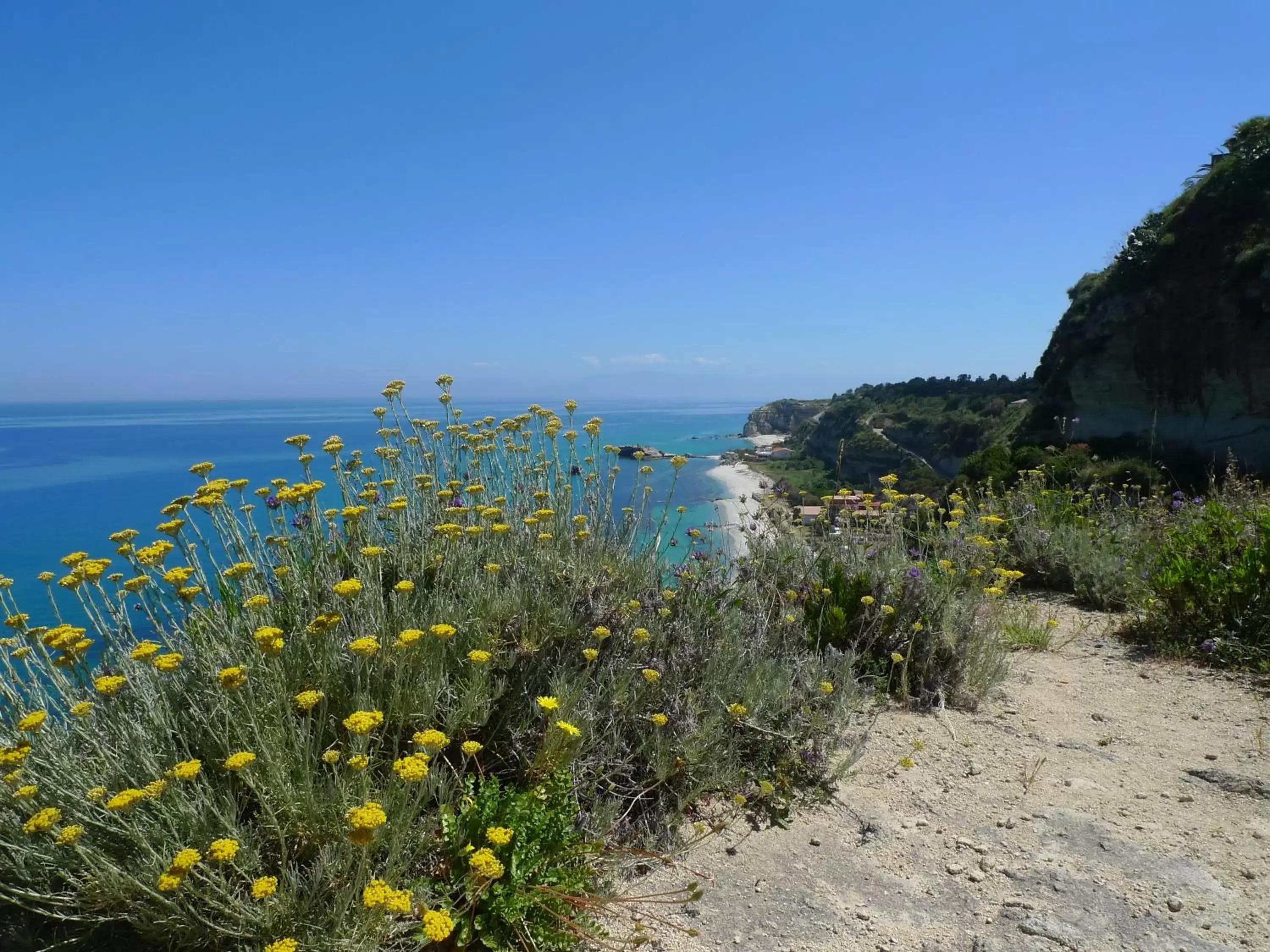 Area and facilities, Natural Landscape in Hotel Alexander