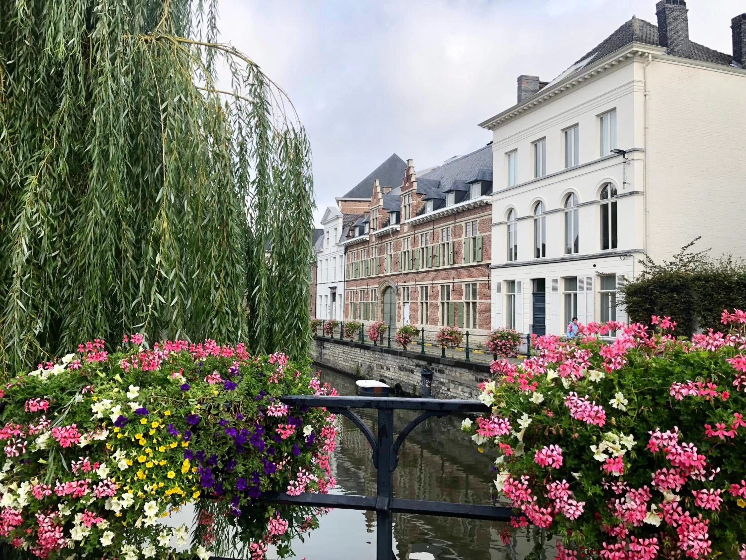 Property building in Comic Art Hotel