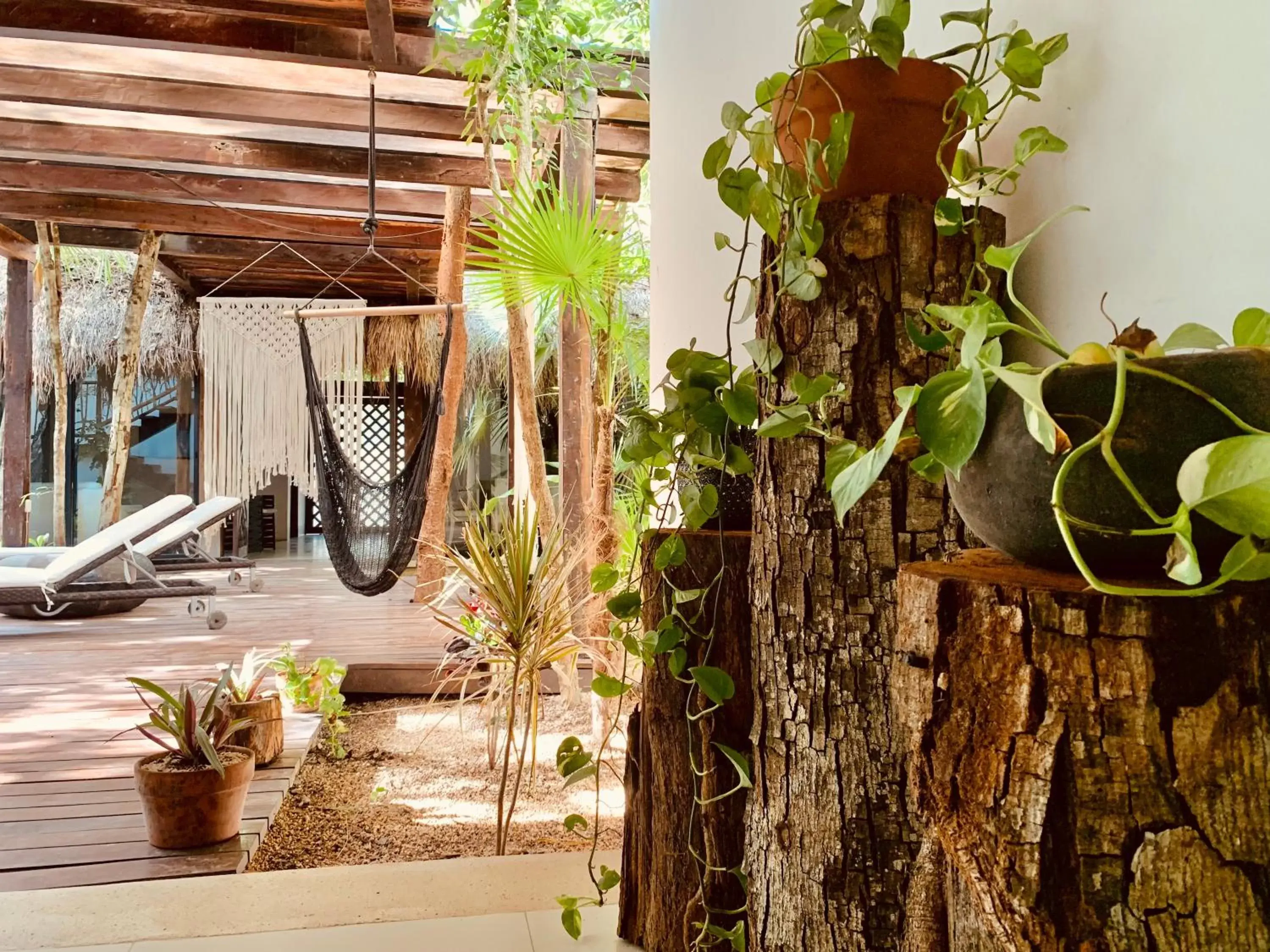 Orchid House Tulum