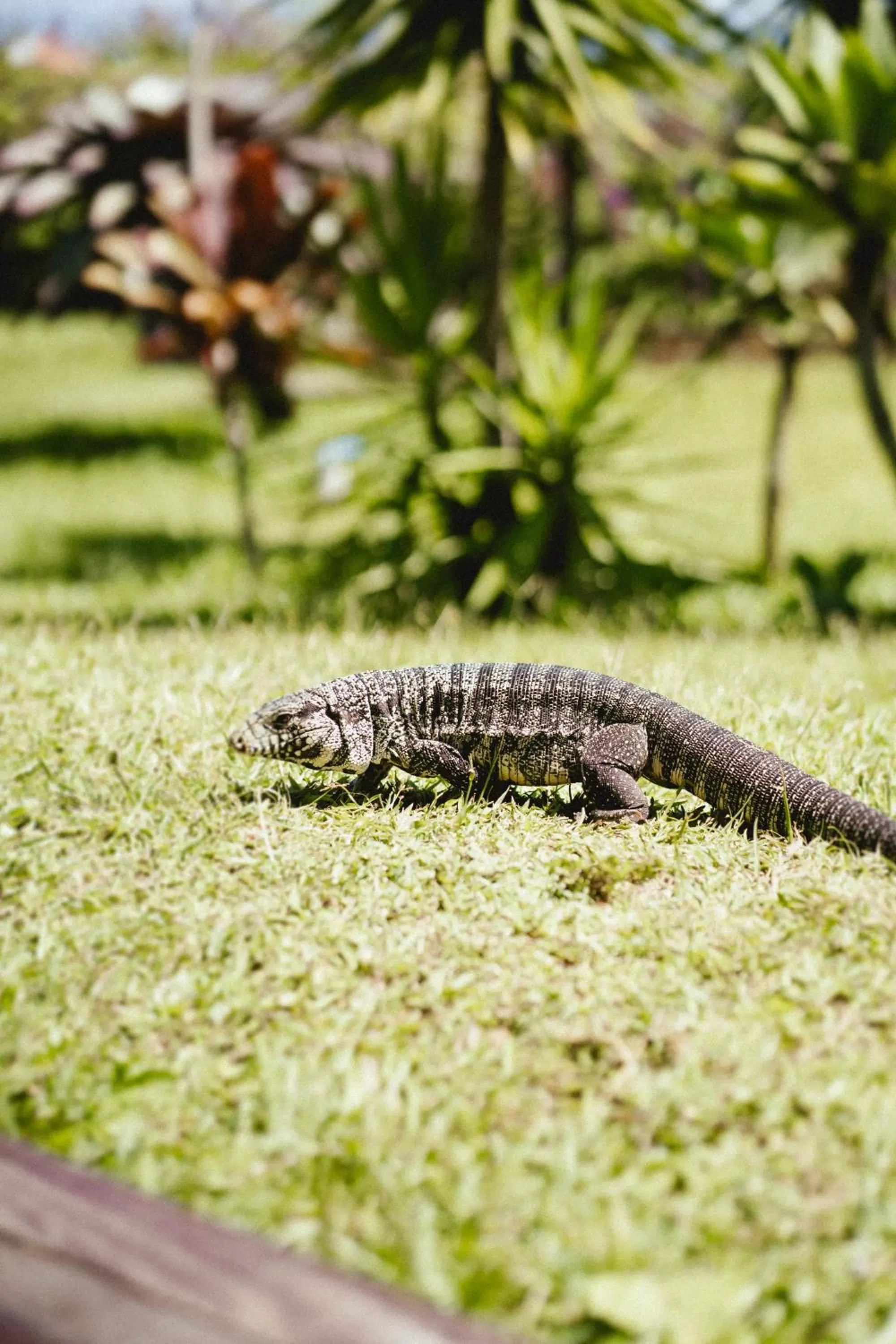 Natural landscape in Antares Club Hotel Lagoinha