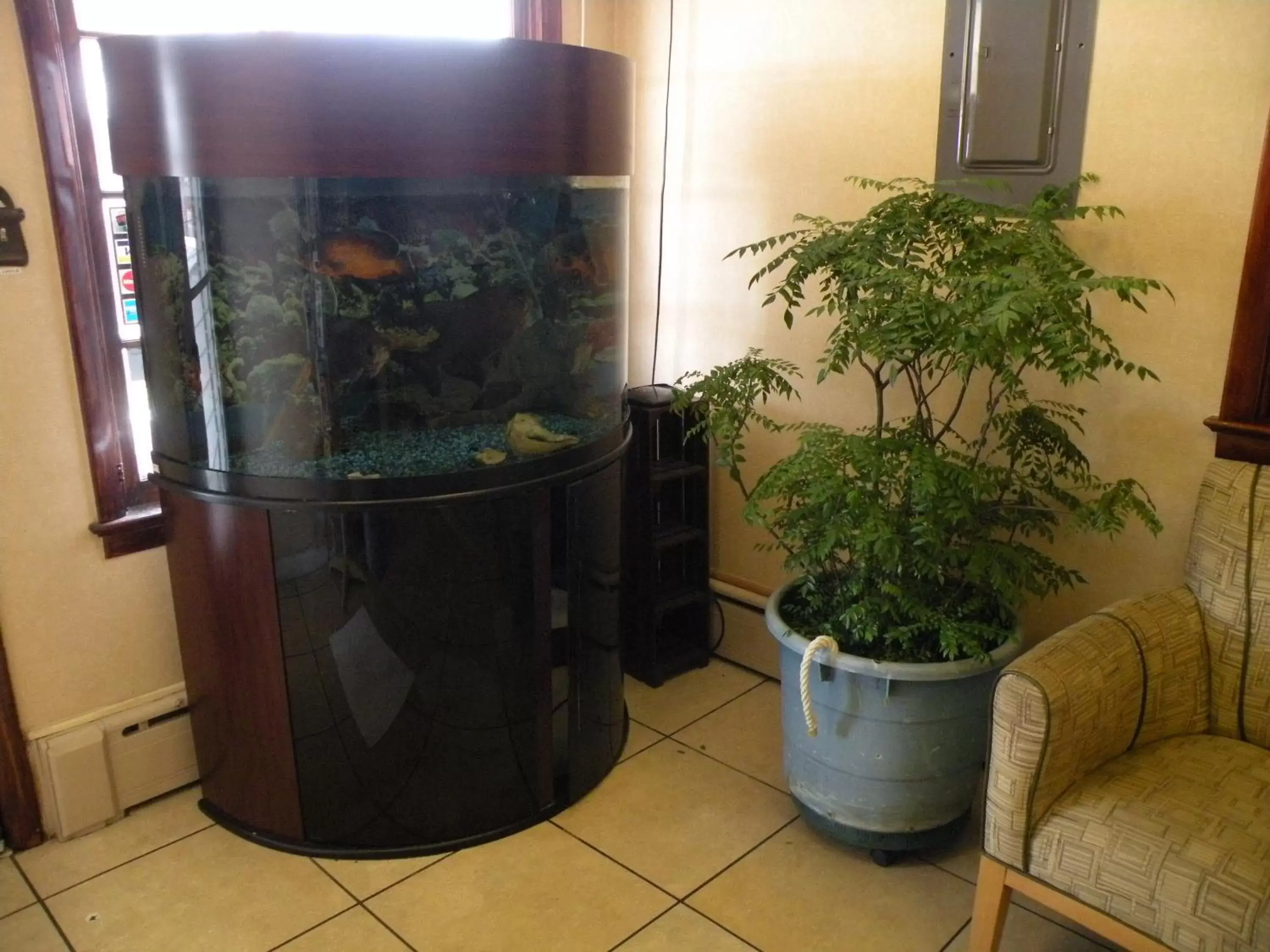 Scottish Inns Fayetteville Scottish Inns Fayetteville