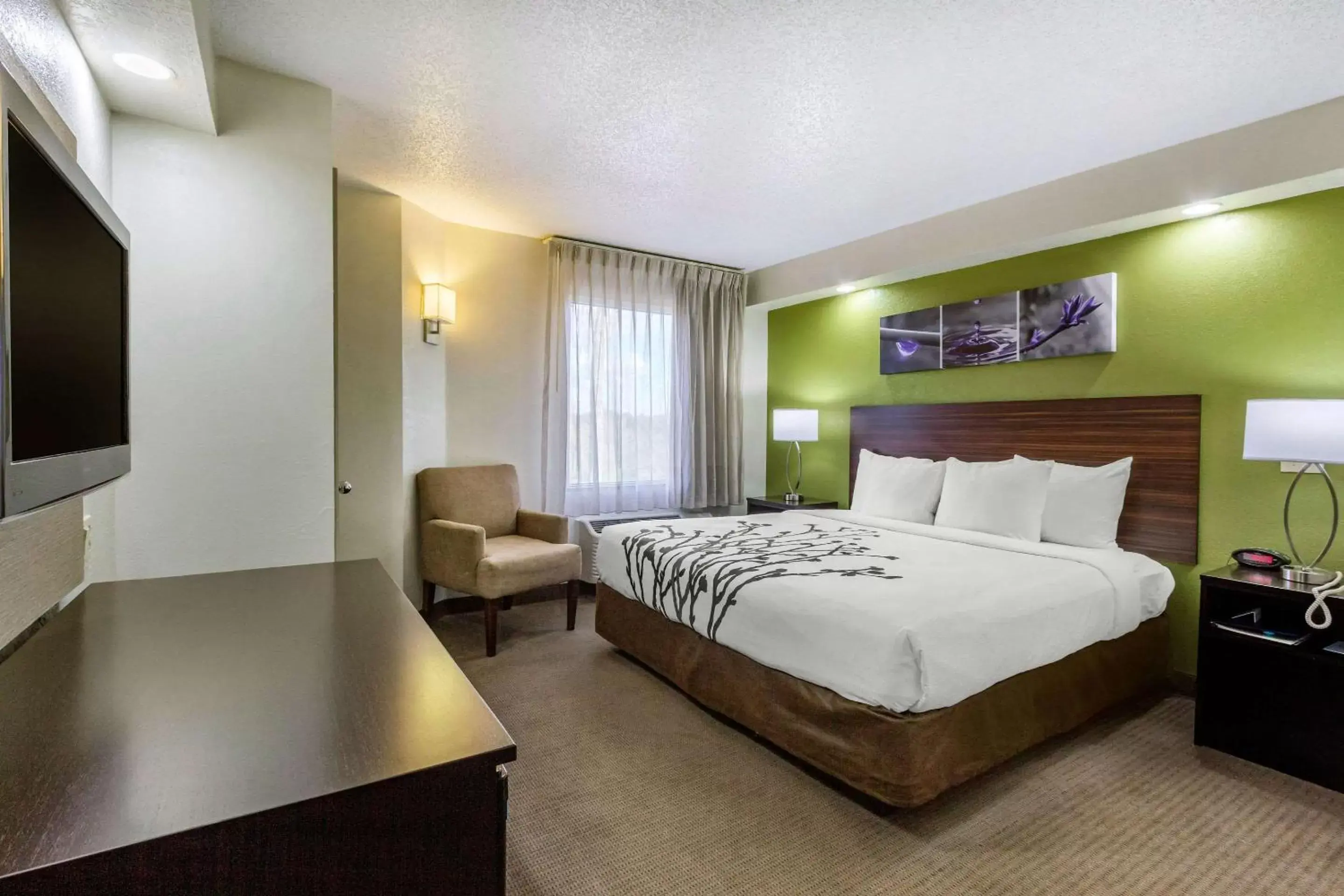 Photo of the whole room, Bed in Sleep Inn near Busch Gardens - USF