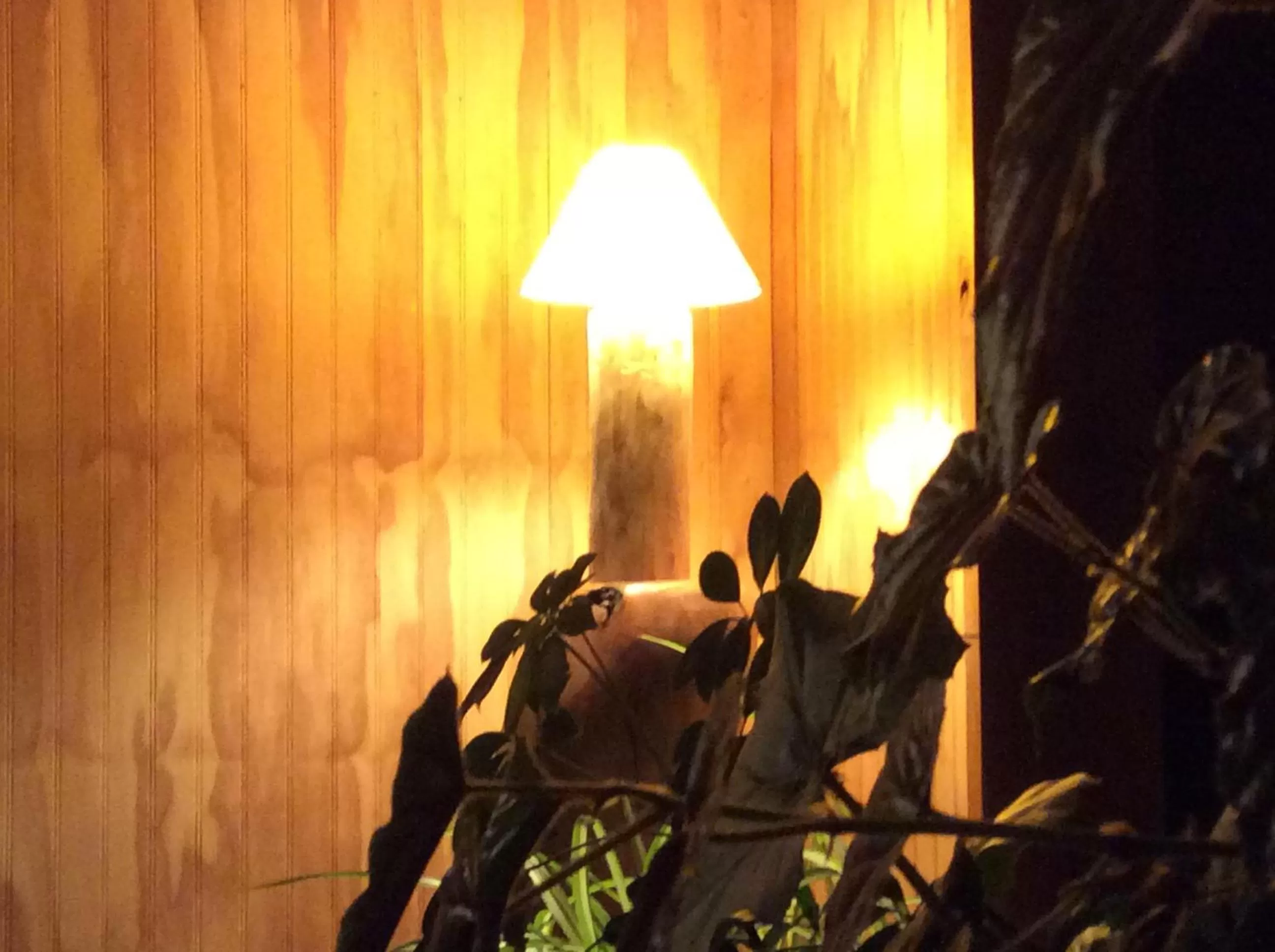 Other in Los Mañíos Del Queulat Puyuhuapi