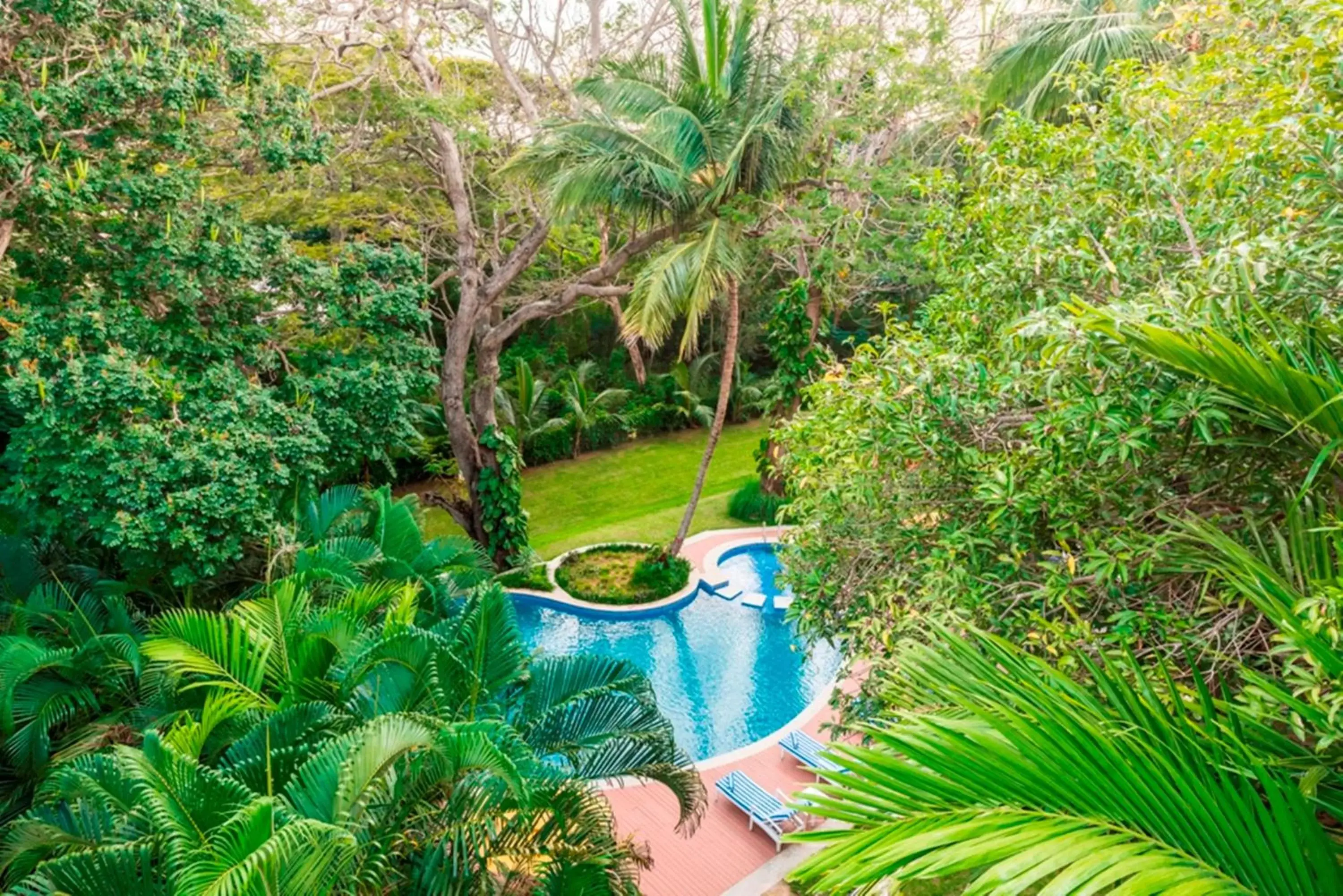 Day, Pool View in Royal Orchid Brindavan Garden Mysore