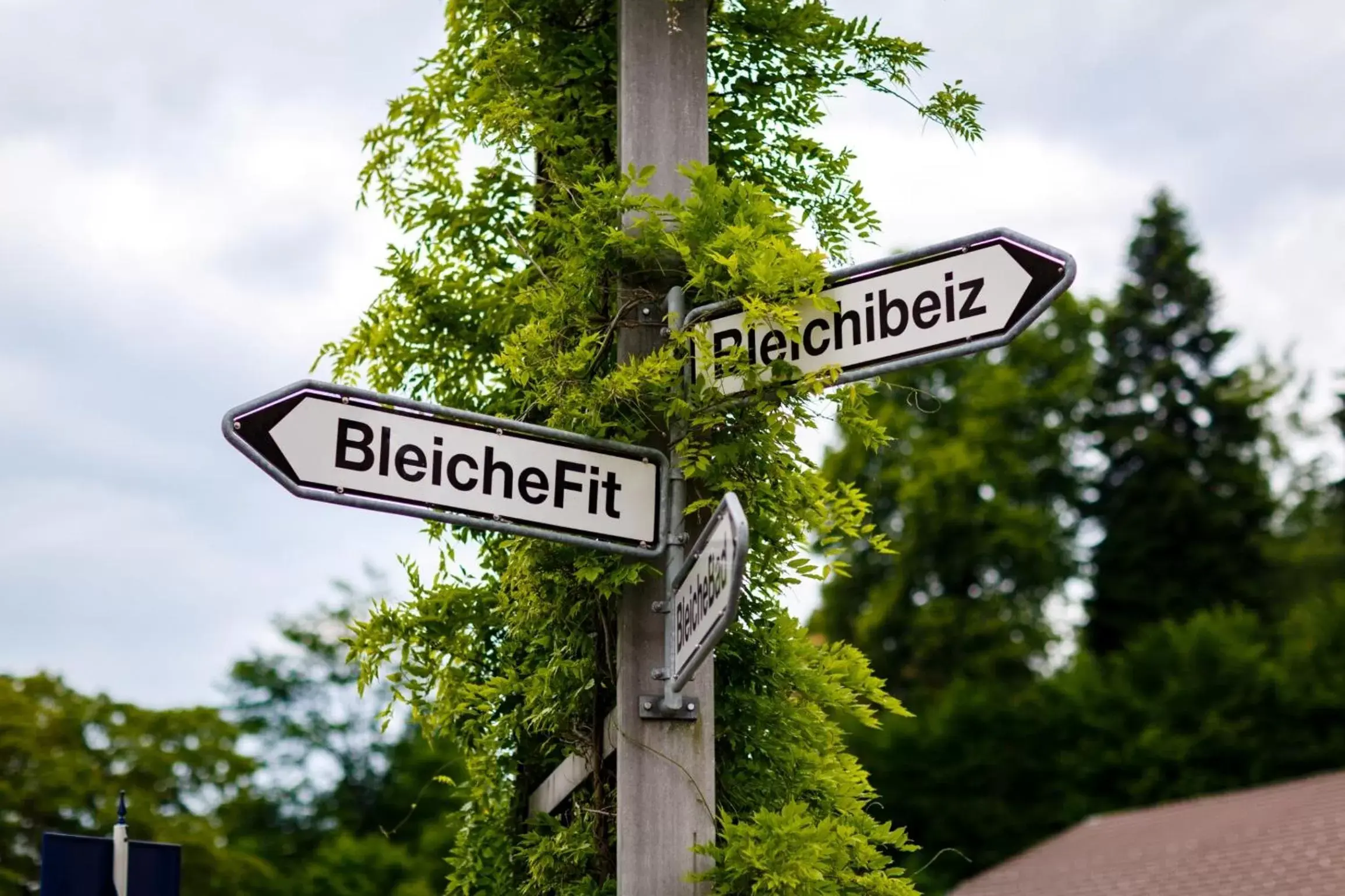 Decorative detail, Property Logo/Sign in Hotel Bleichibeiz