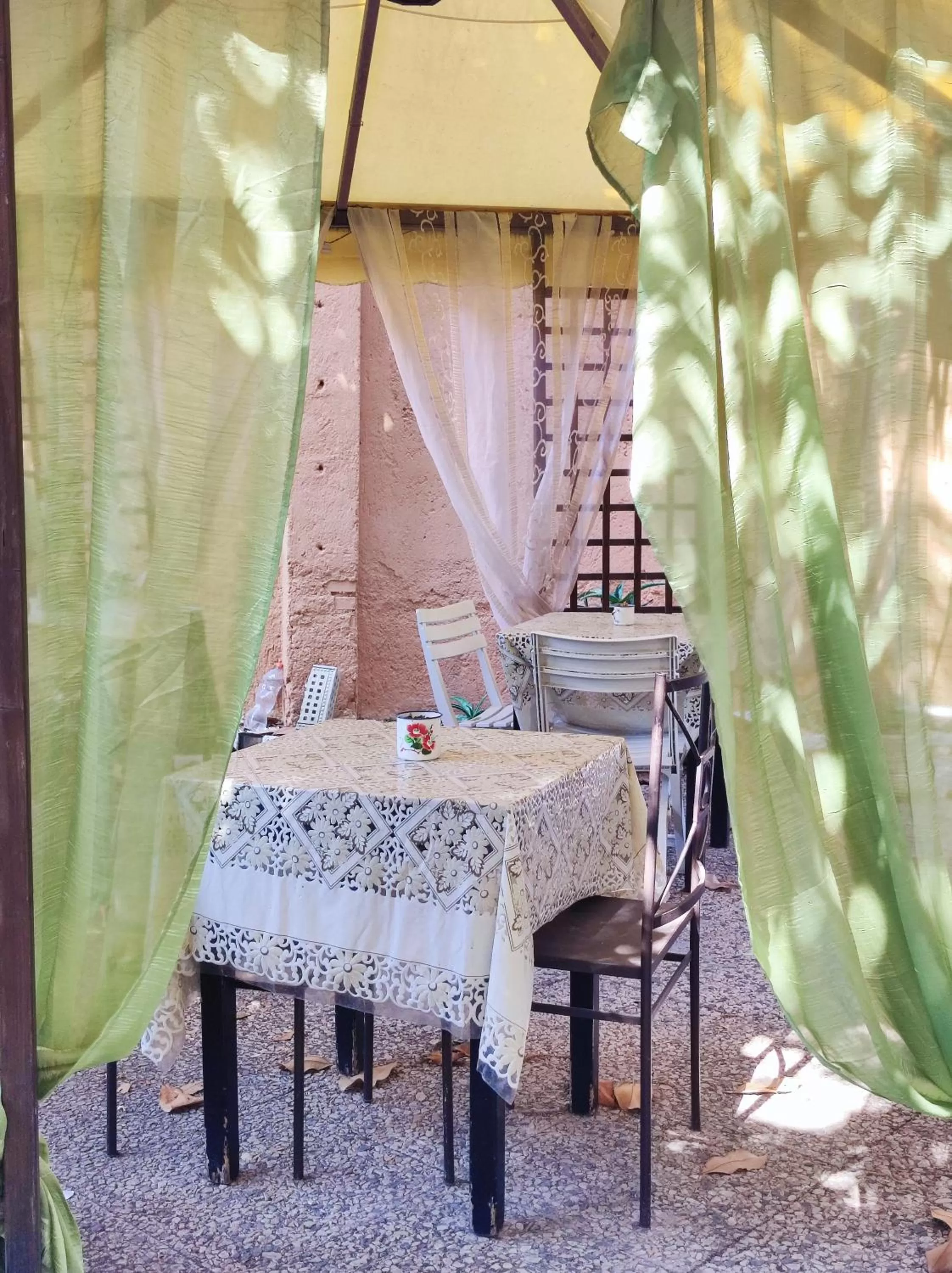 Garden in Tucci's Roma Guest House