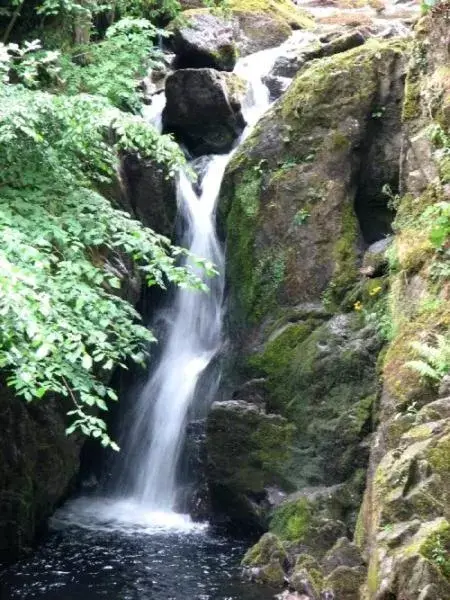 Natural Landscape in Badger Bar