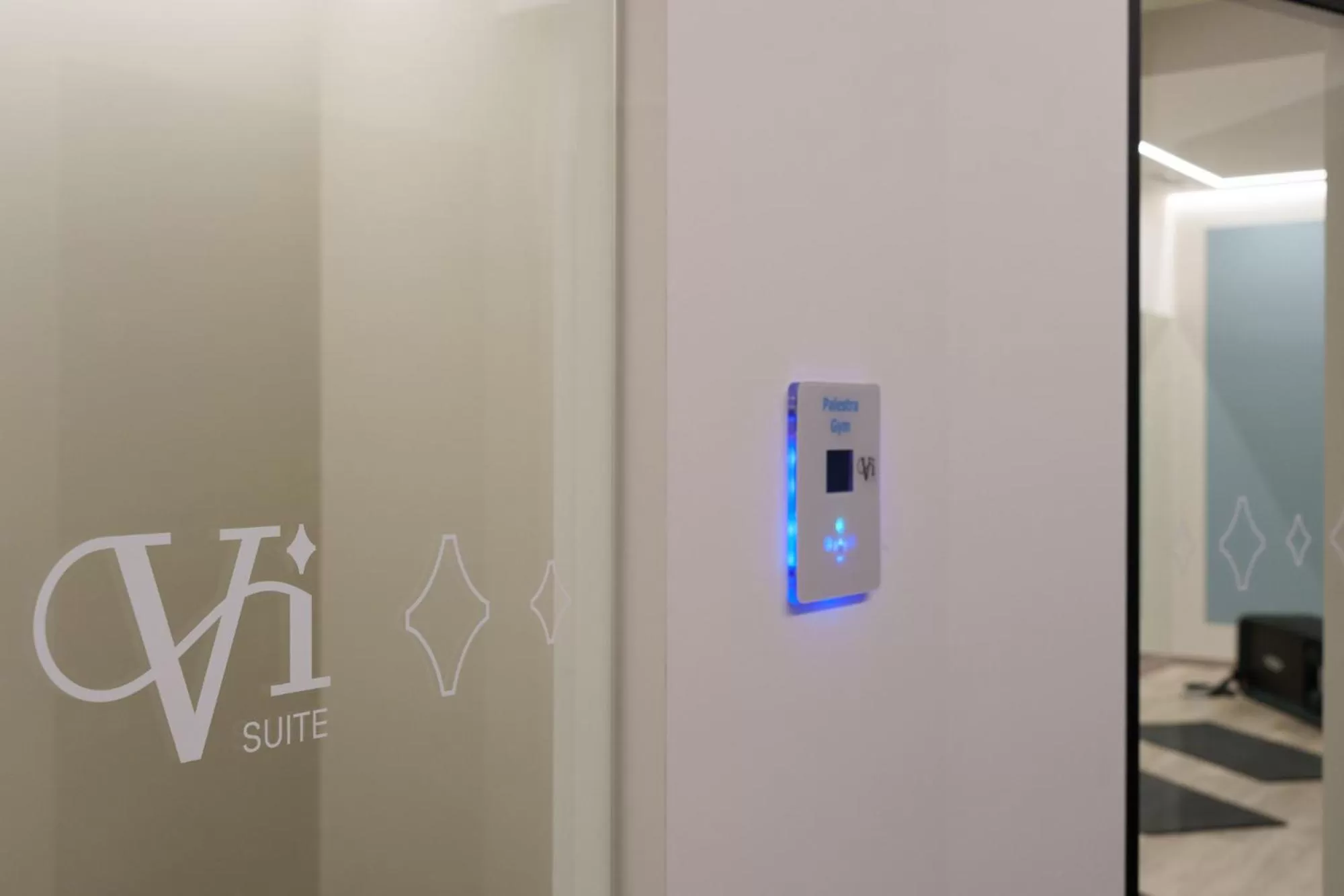 Text overlay in Vi Suites