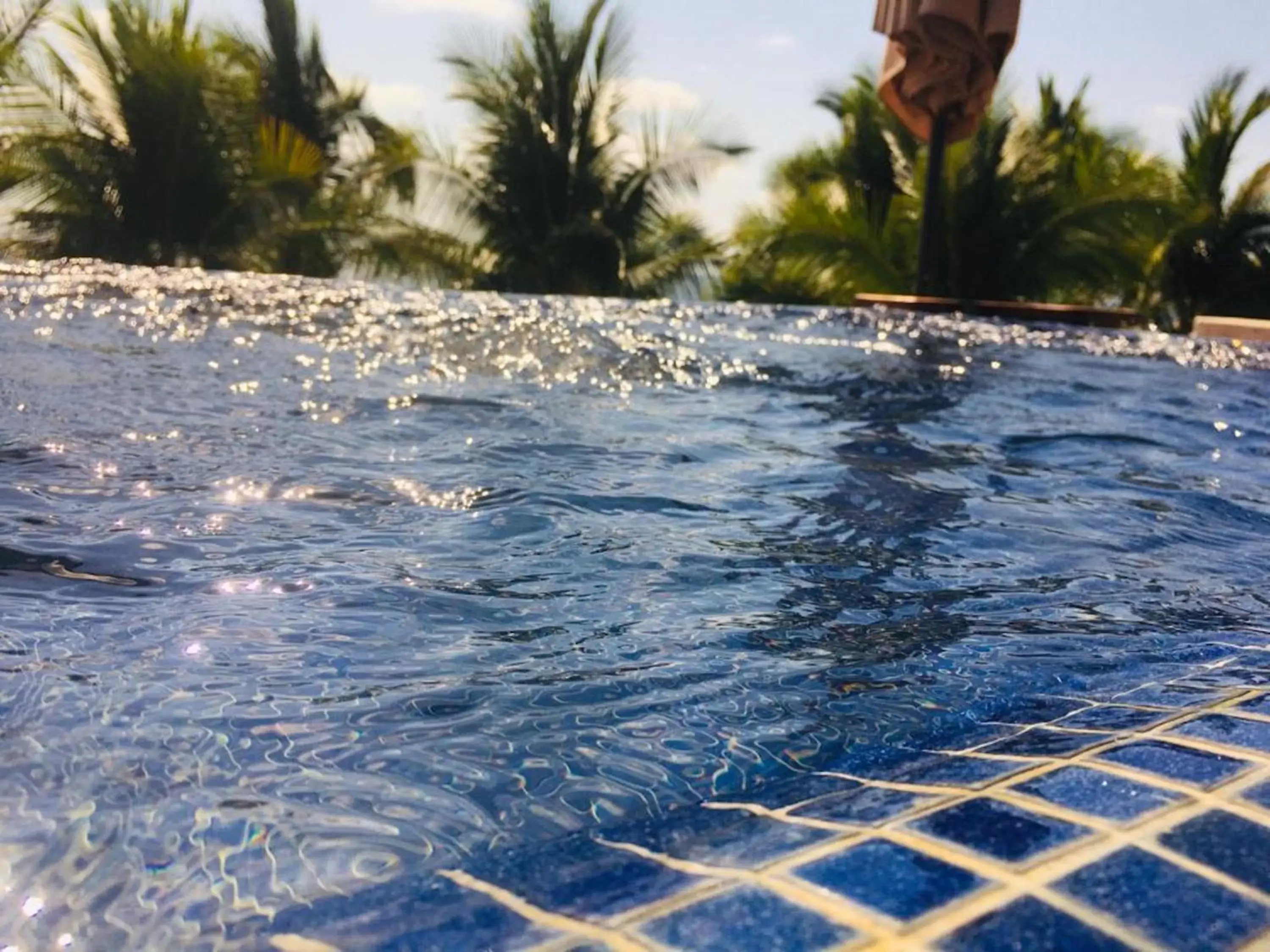 Swimming Pool in Las Palmas Luxury Villas