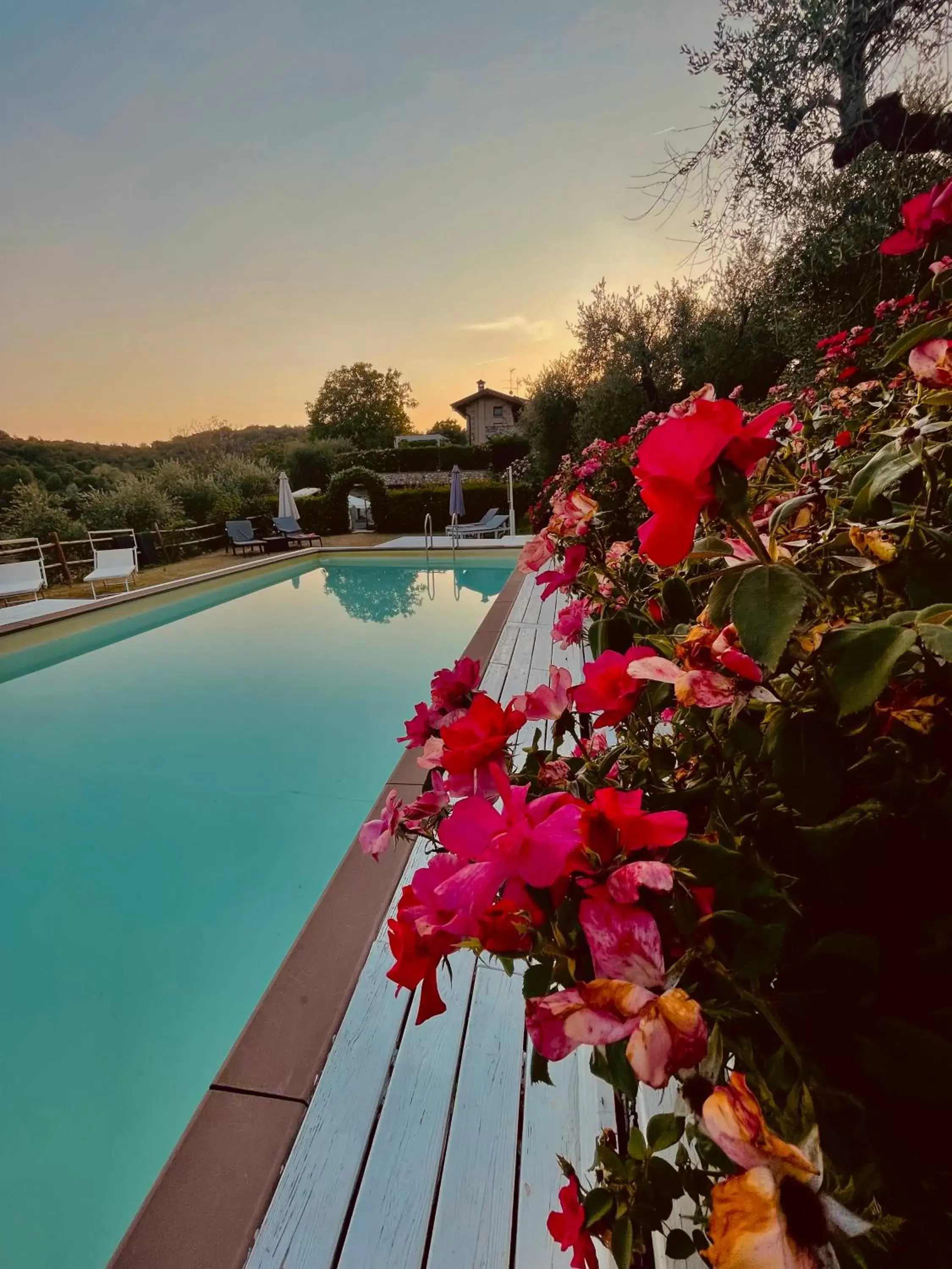 Swimming Pool in B&B Sovenigo