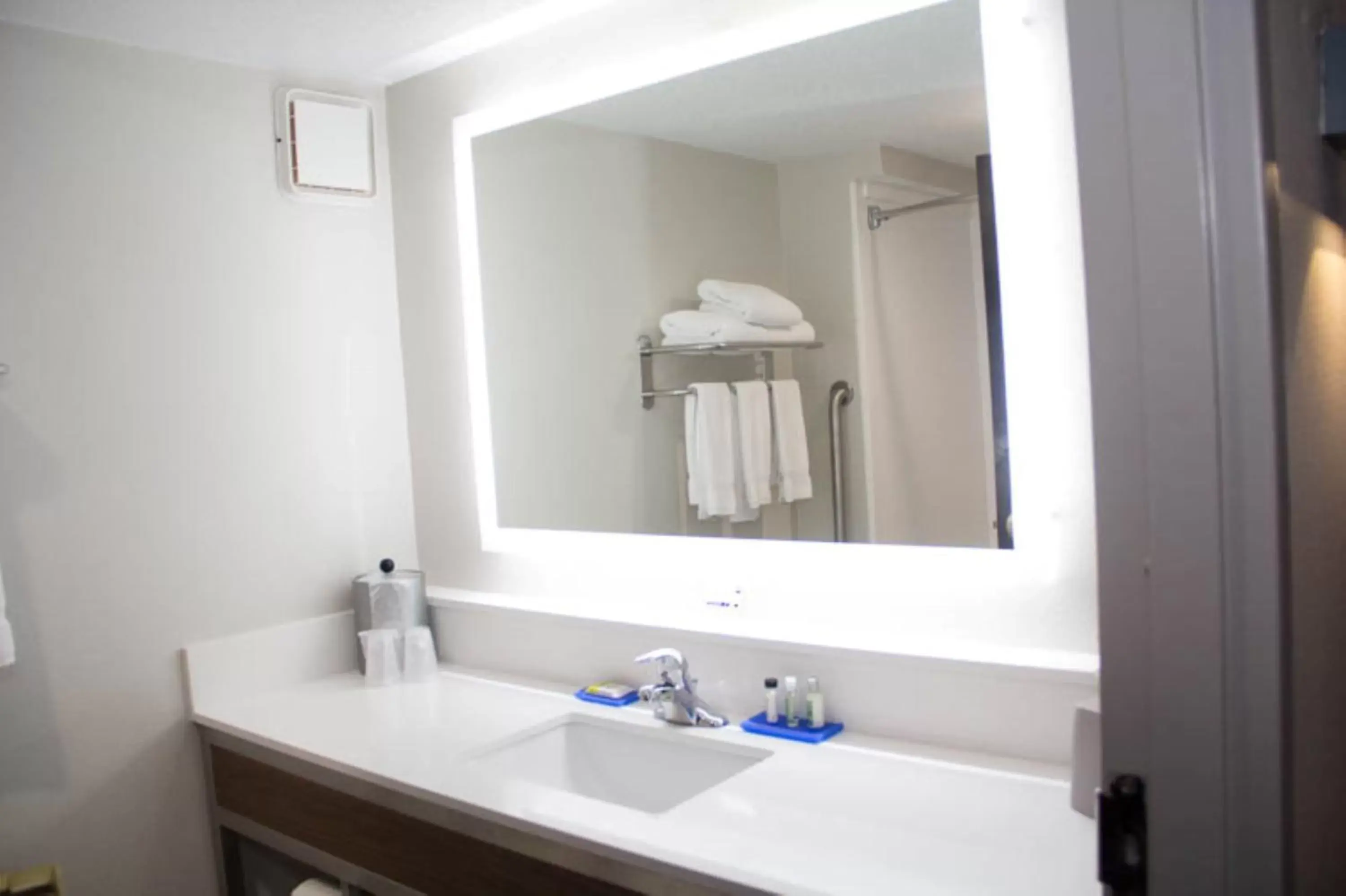 Photo of the whole room, Bathroom in Holiday Inn Express & Suites Kings Mountain - Shelby Area, an IHG Hotel