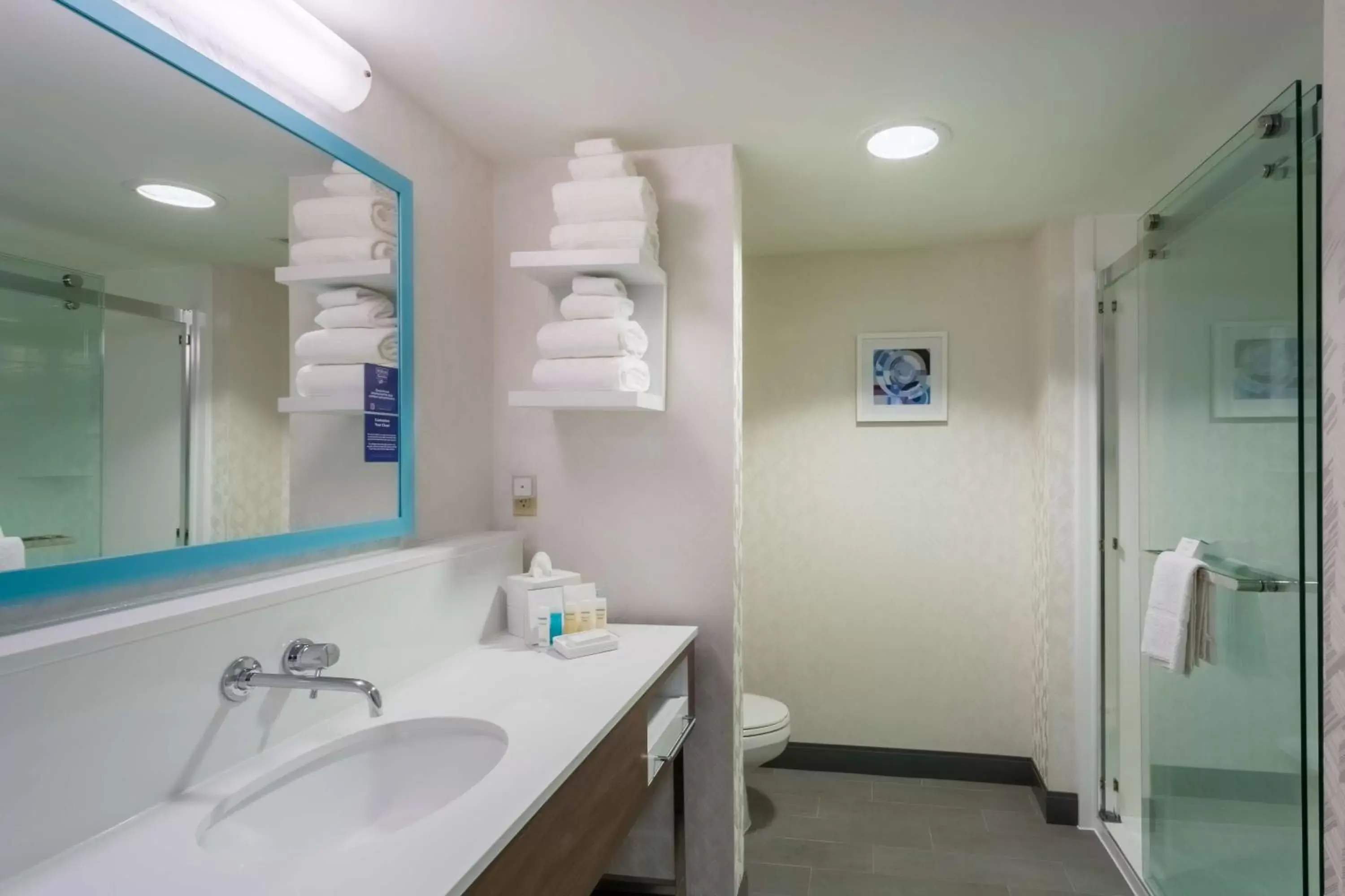 Bathroom in Hampton Inn & Suites Herndon-Reston