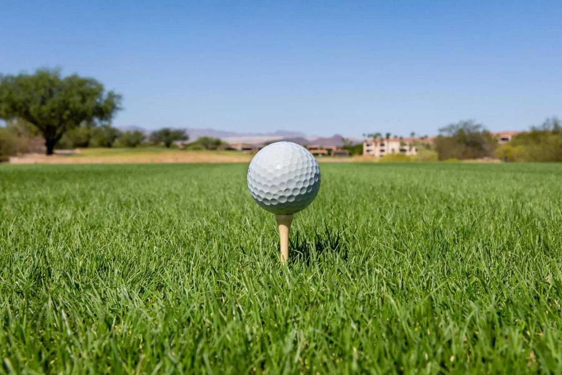 Golfcourse, Golf in Canoa Ranch Golf Resort