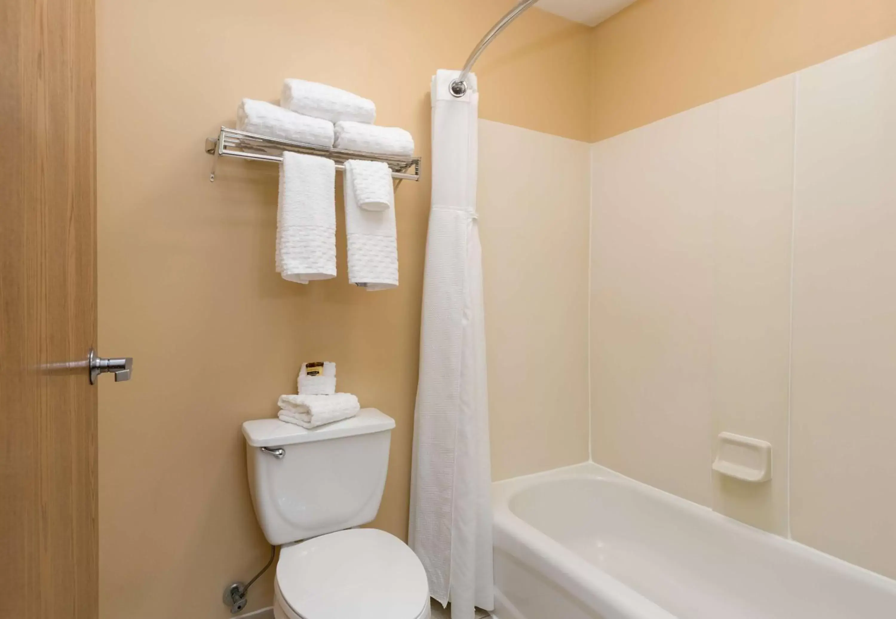 Bathroom in Best Western Plus Holland Inn & Suites