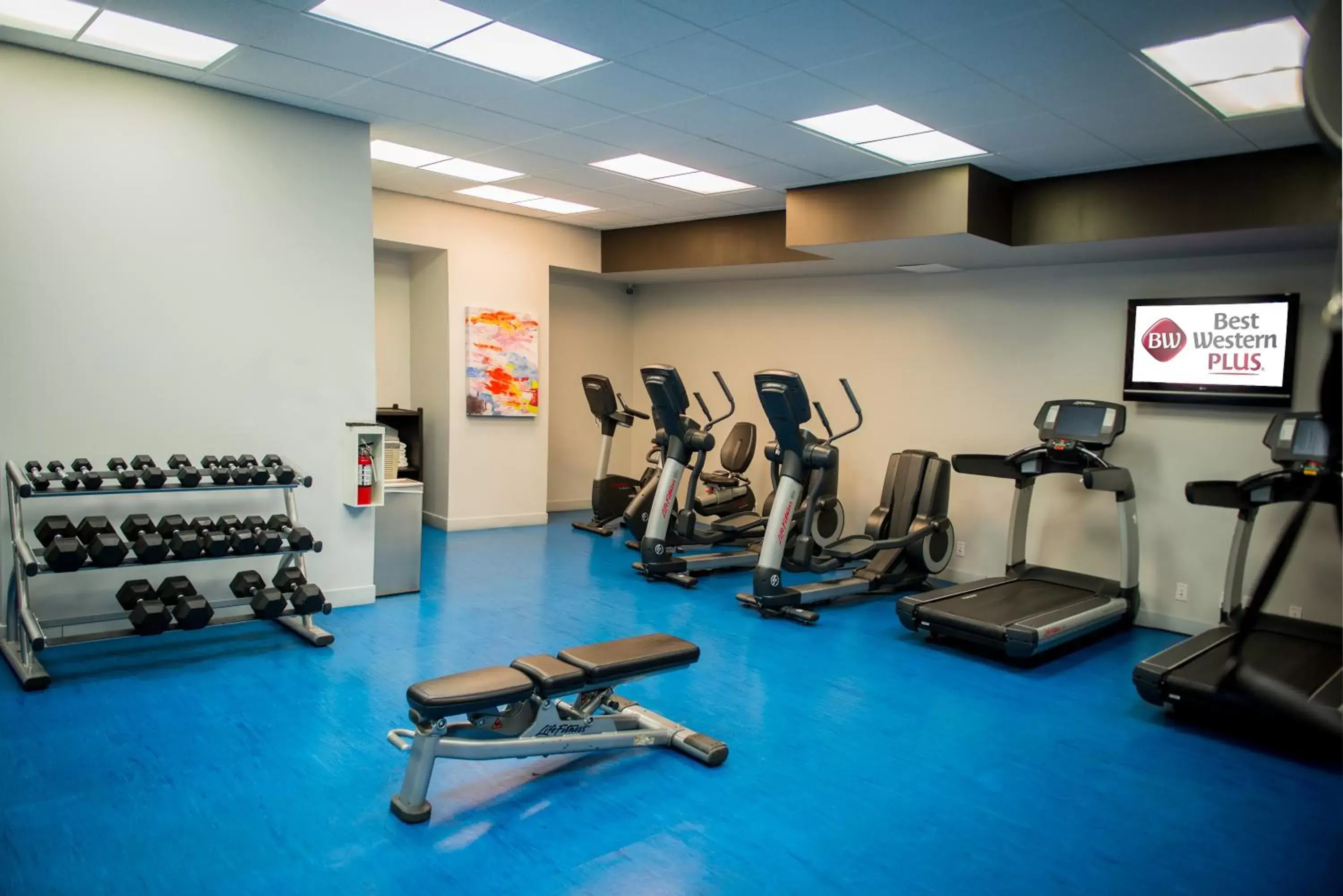 Fitness centre/facilities, Fitness Center/Facilities in Best Western Plus Village Park Inn