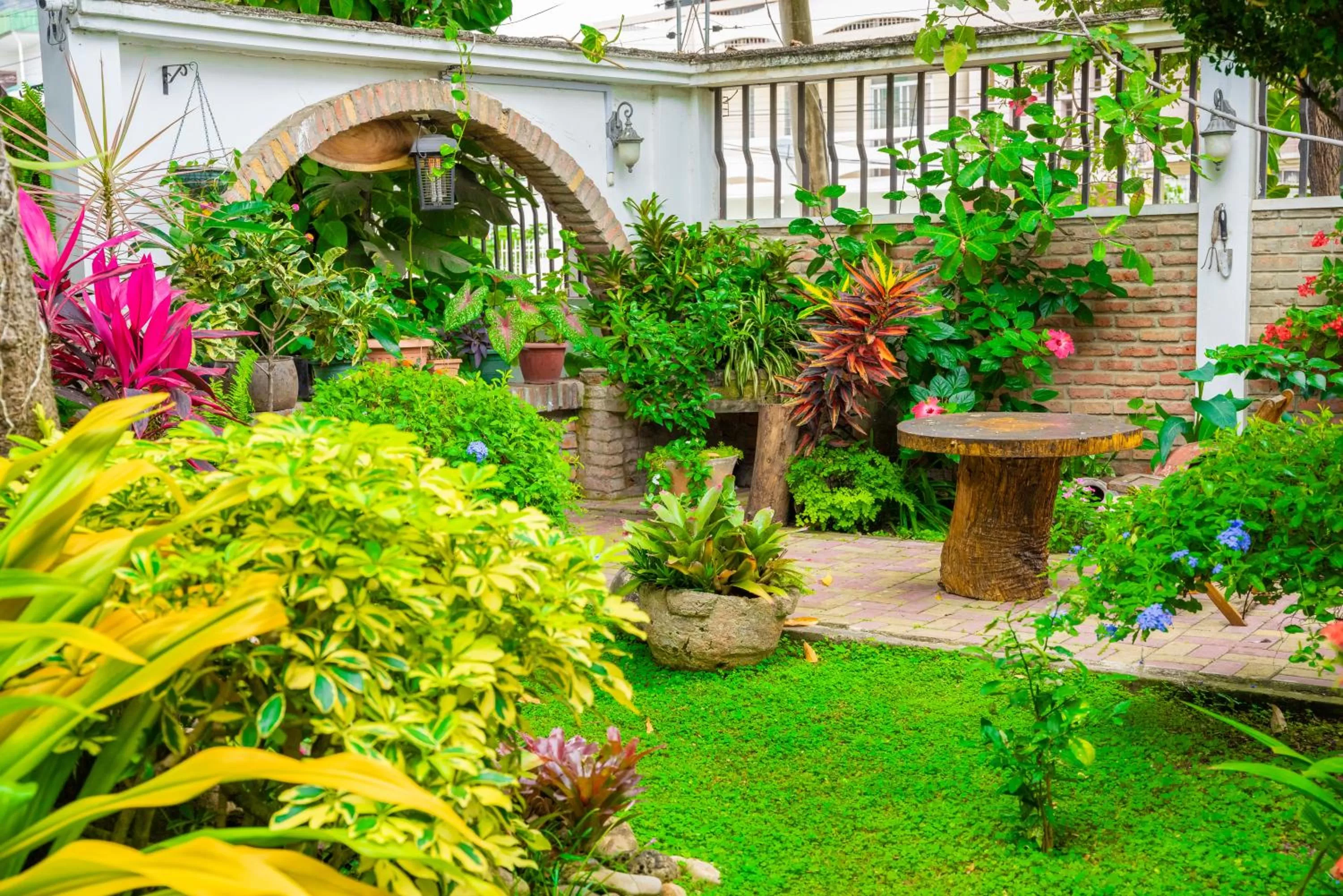 Garden in Hotel Boutique Platanal