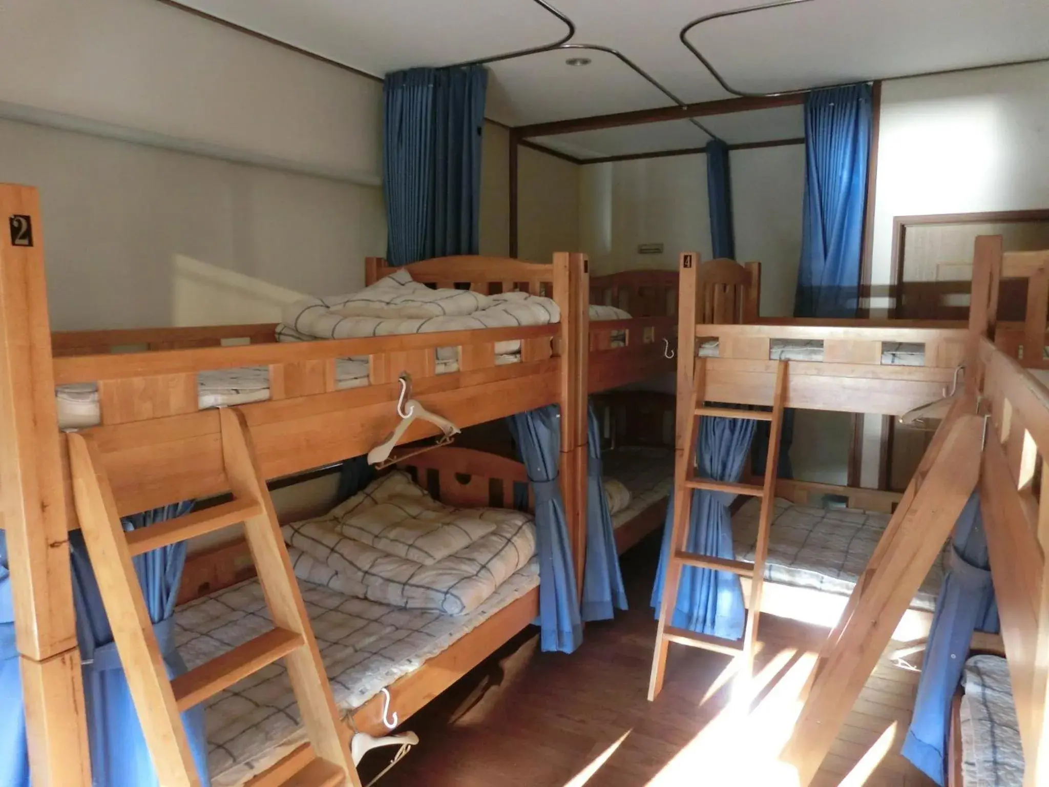 Bunk Bed in Mixed Dormitory Room B in Mt Fuji Hostel Michael's