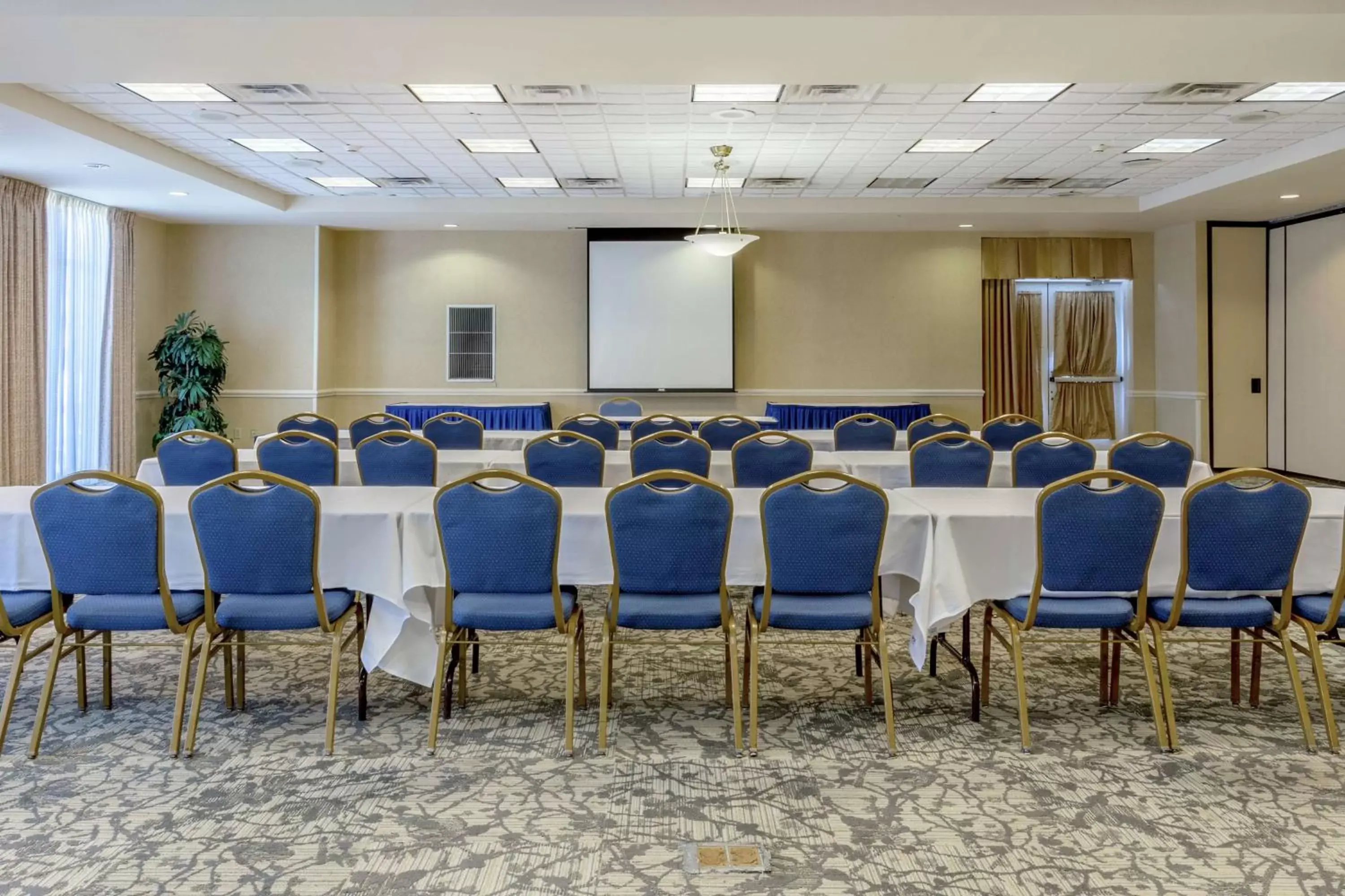 Meeting/conference room in Hilton Garden Inn Richmond South/Southpark
