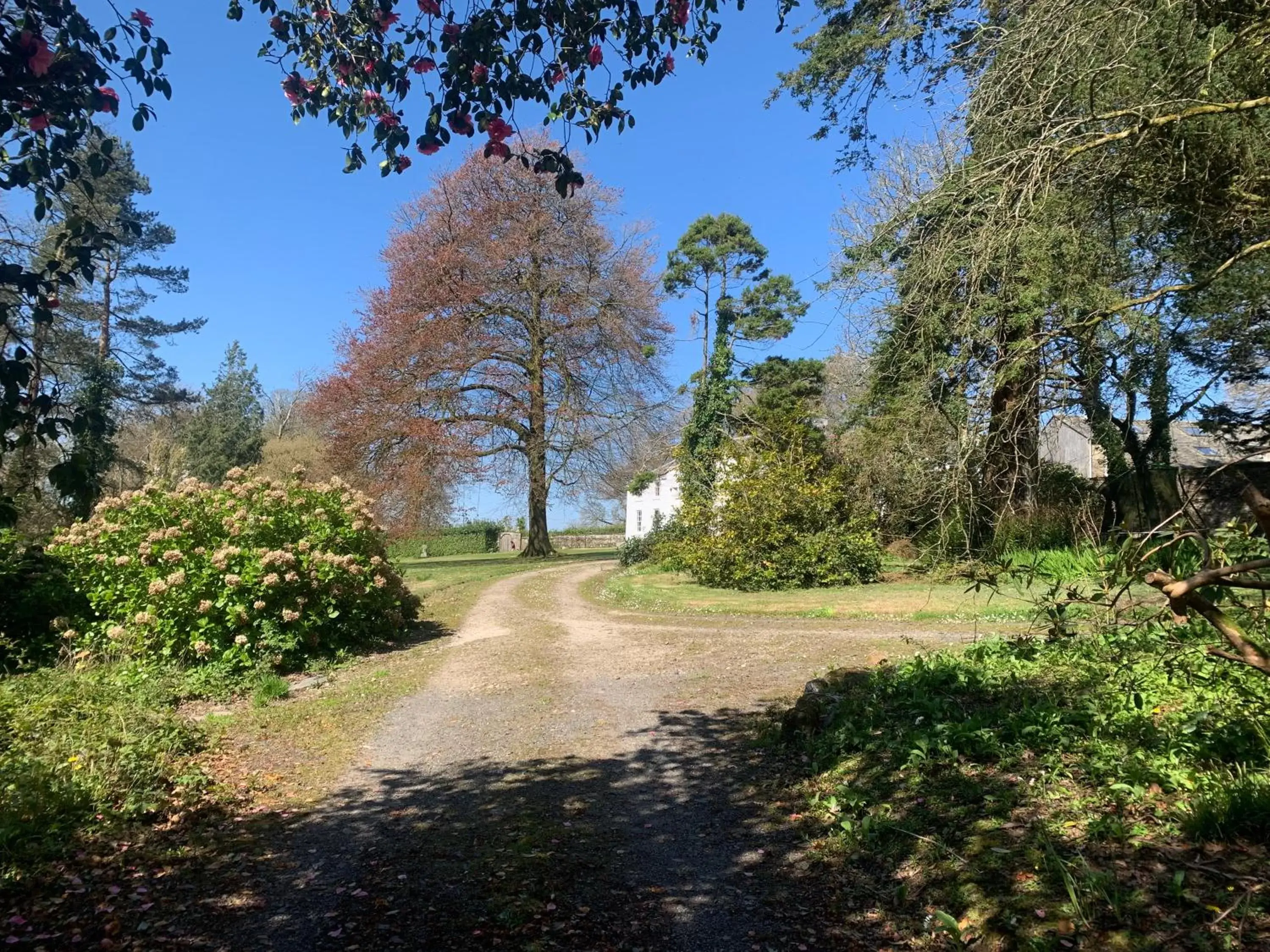 Garden view in Trewardale