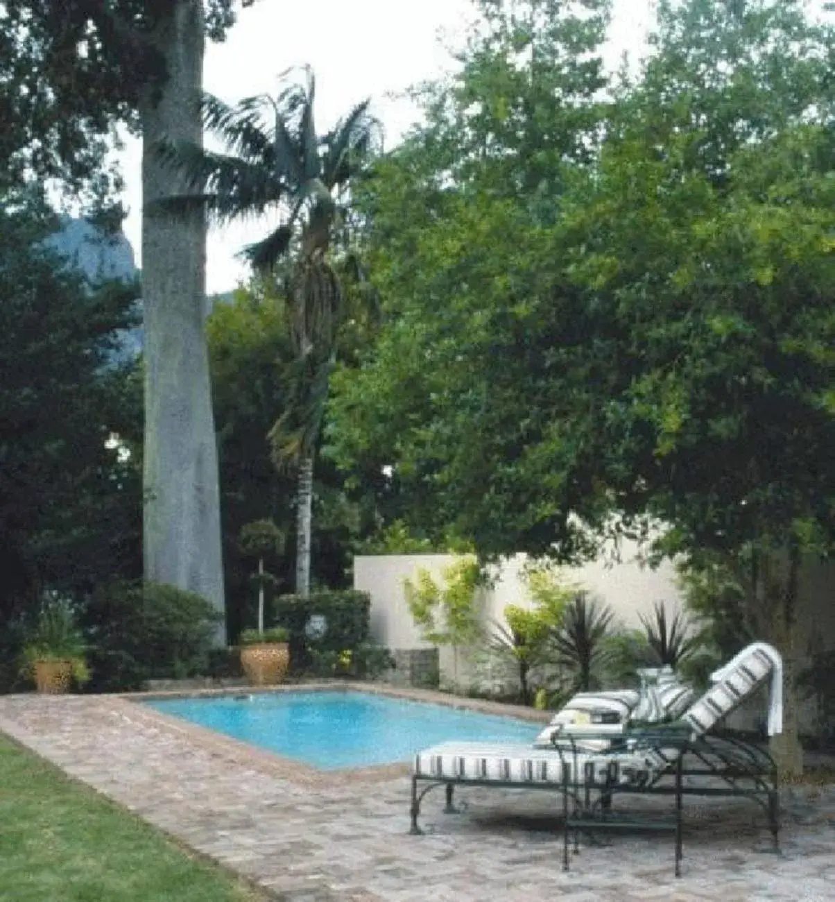 Garden, Swimming Pool in Riversong Guest House
