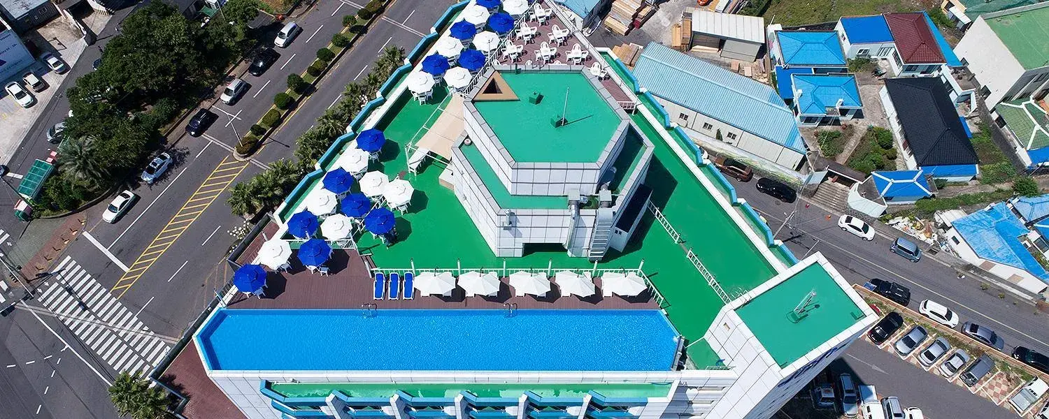 Pool View in Jeju Pacific Hotel