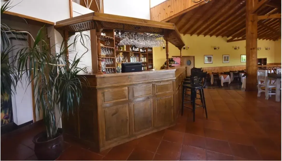 Restaurant/places to eat, Lounge/Bar in Hotel Picos Del Sur