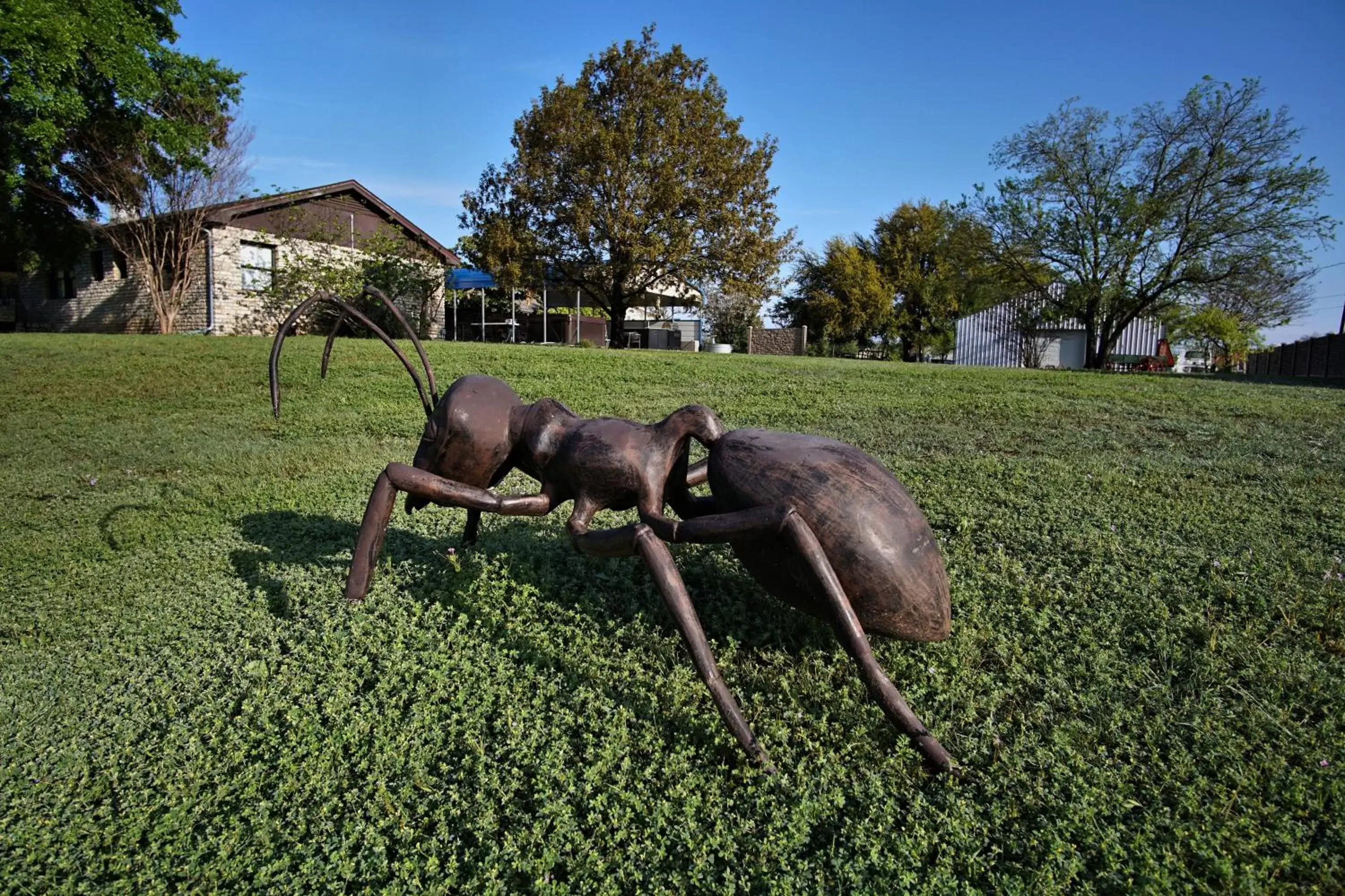 Other Animals in Live Oak B&B