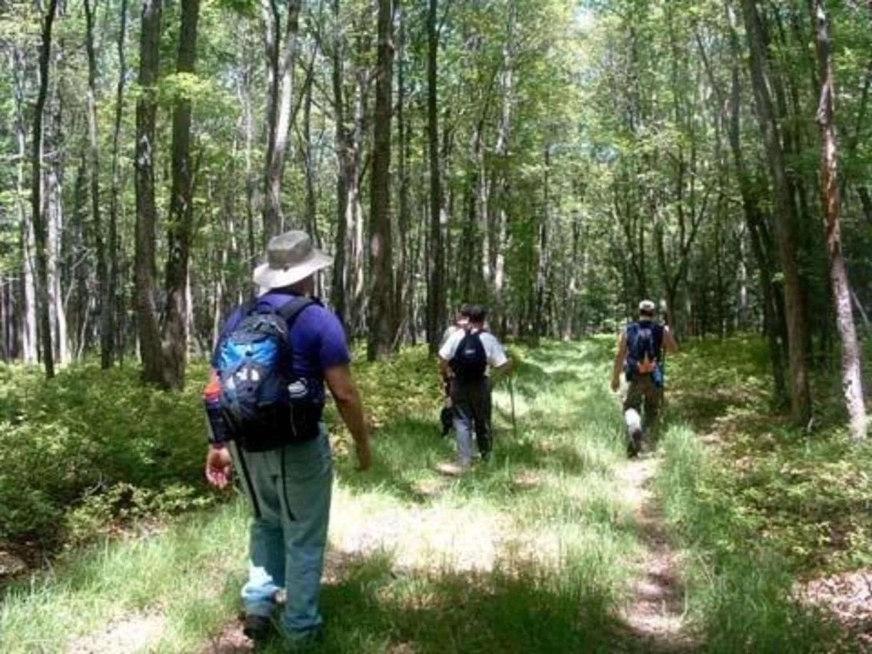 Off site in Quality Inn Mill Hall - Lamar