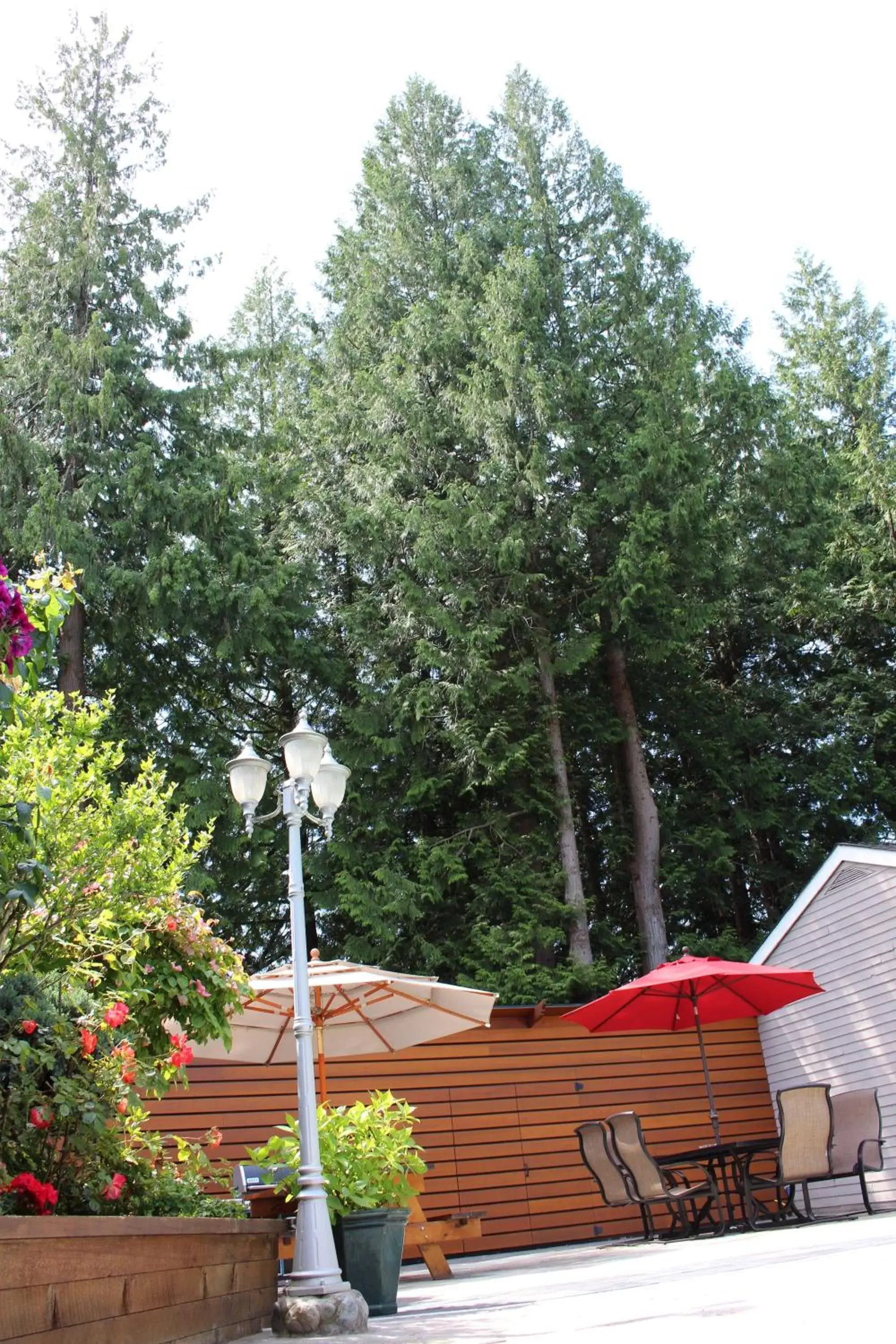 Patio in Sunshine Lodge Inn