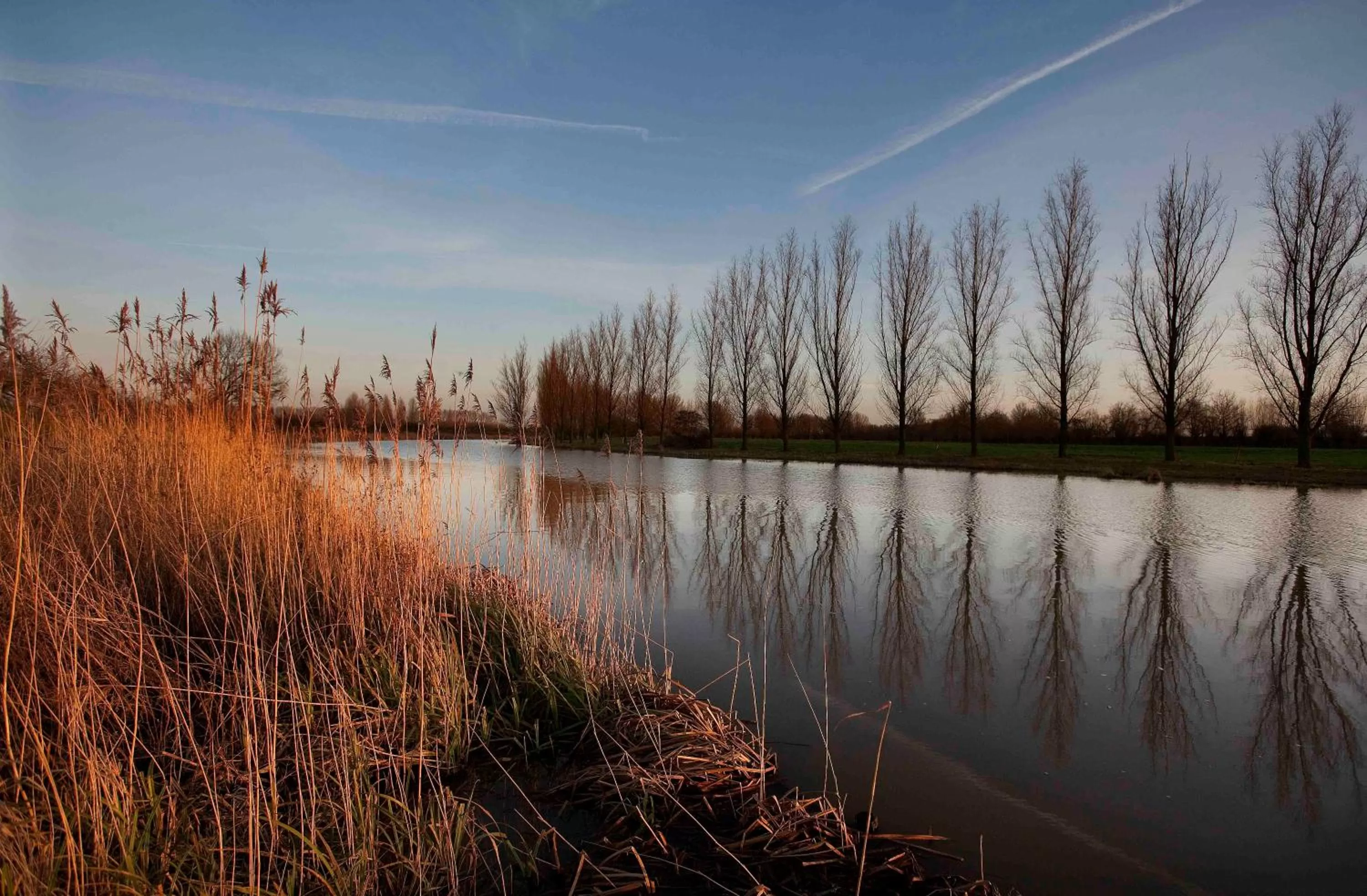 Bed & Breakfast de Neust