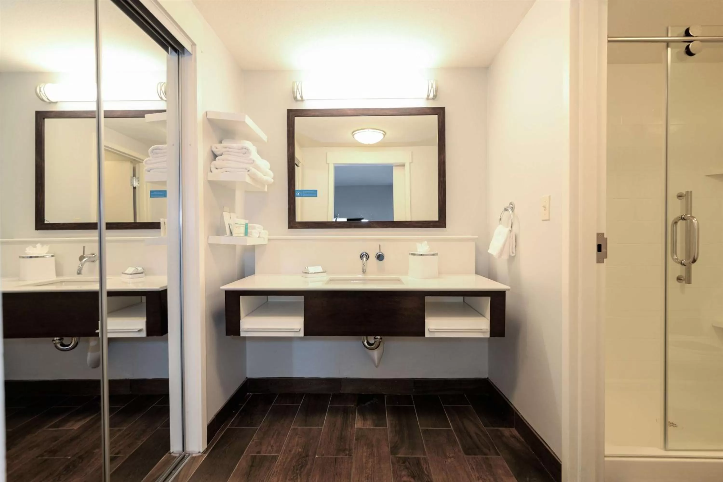 Bathroom in Hampton Inn Brighton Mi