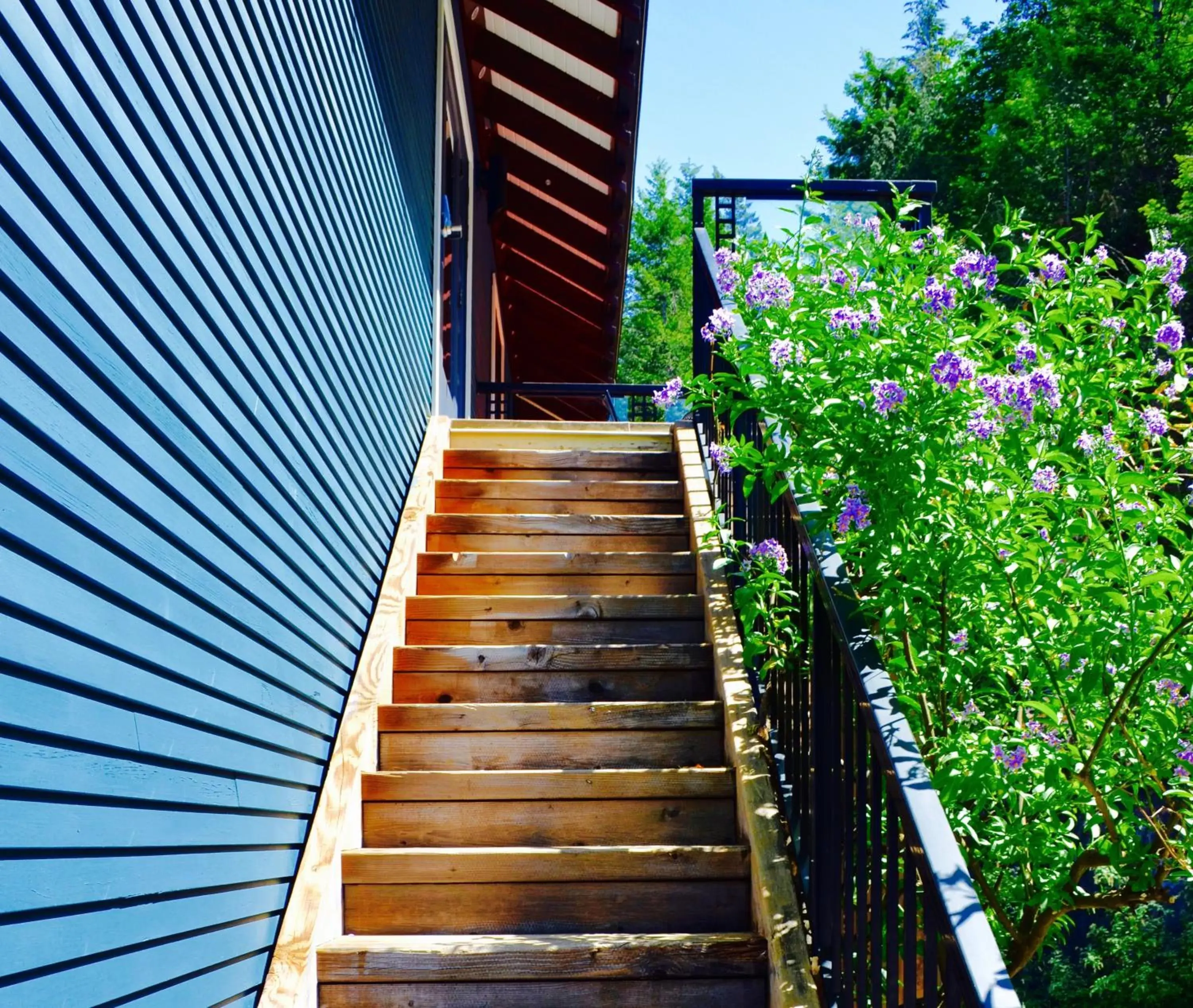 Facade/entrance, Balcony/Terrace in Artisan Suites on Bowen