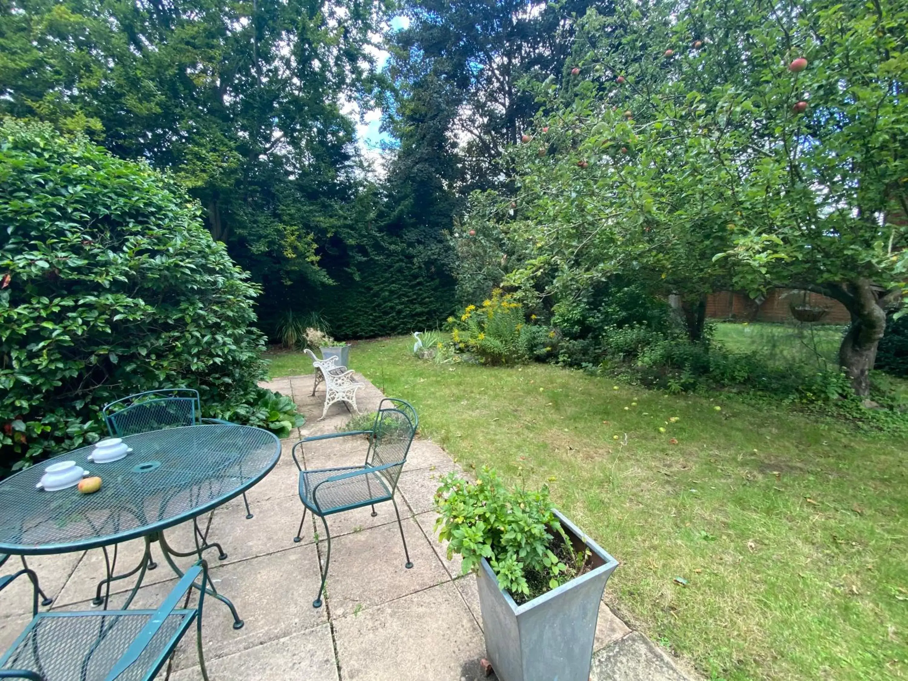 Patio, Garden in Pickwicks Guest House