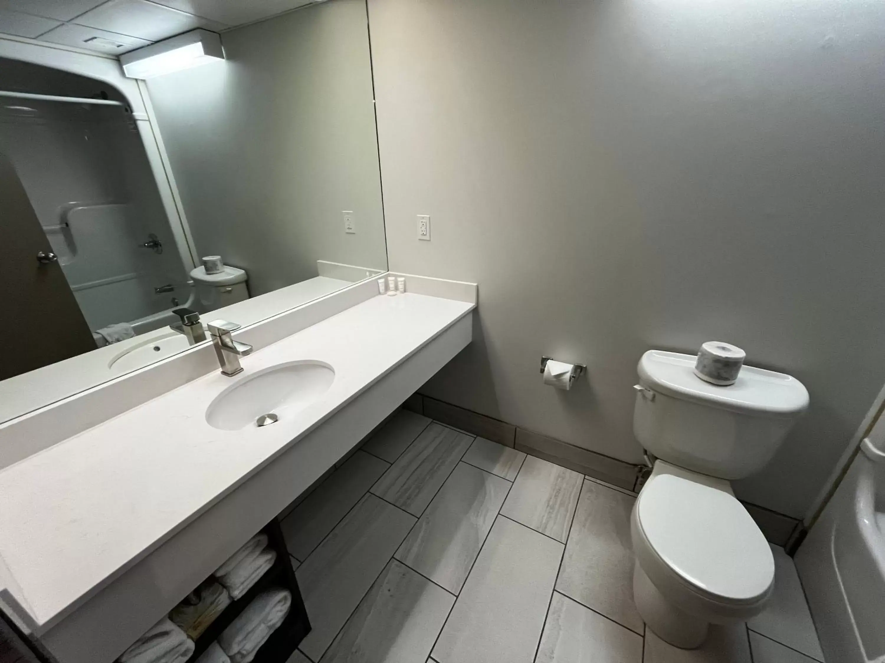 Bathroom in Canad Inns Destination Centre Brandon
